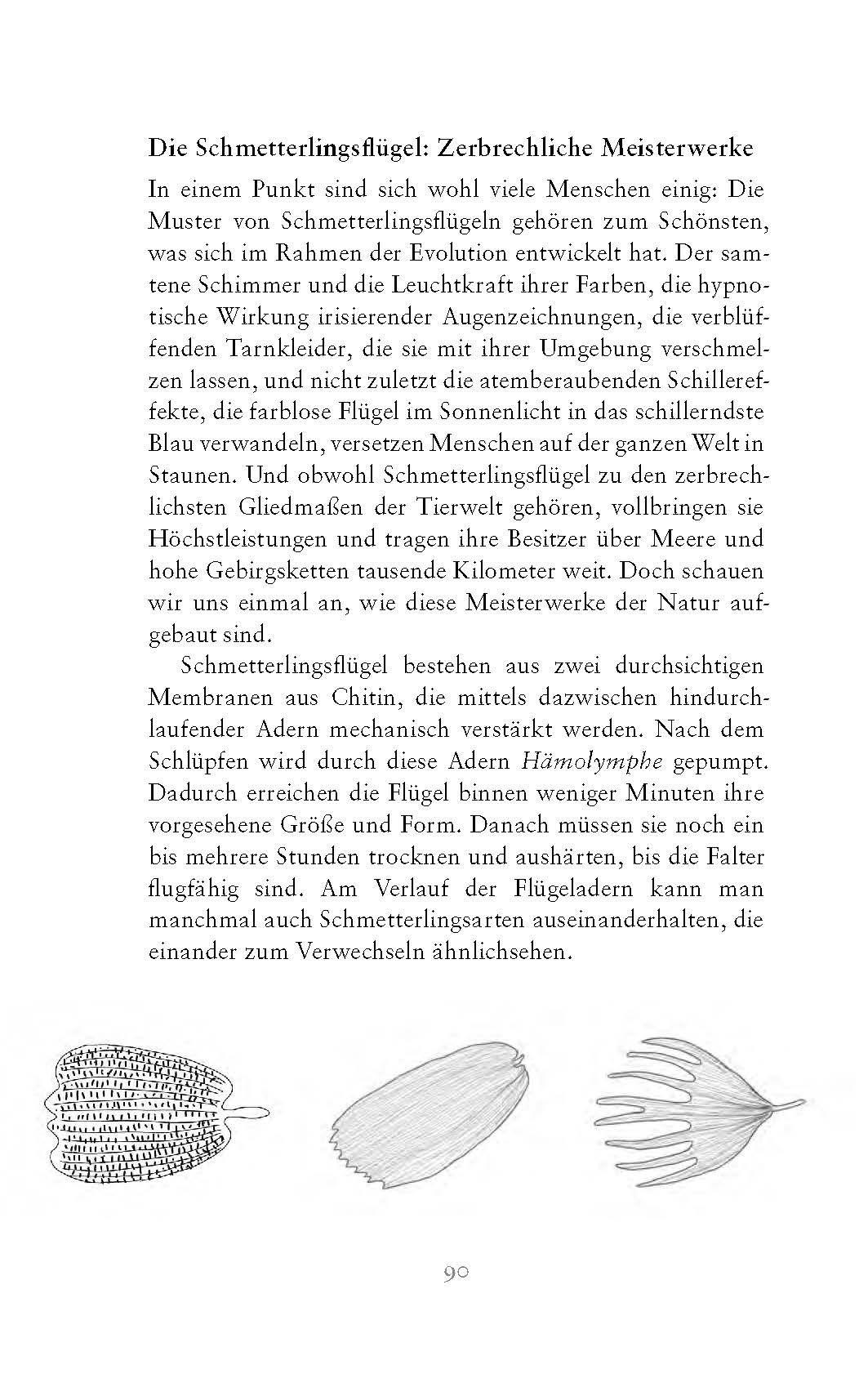 Beispielinhalt (Bild) Die fabelhafte Welt der Schmetterlinge