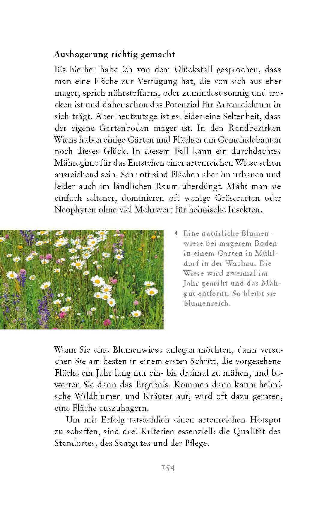 Beispielinhalt (Bild) Die fabelhafte Welt der Schmetterlinge