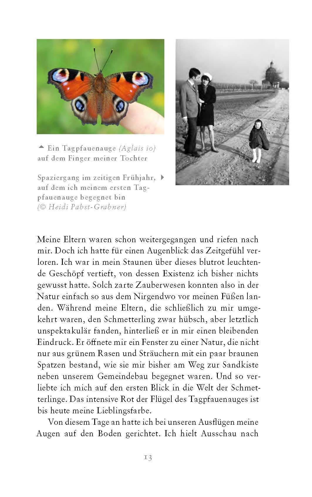 Beispielinhalt (Bild) Die fabelhafte Welt der Schmetterlinge