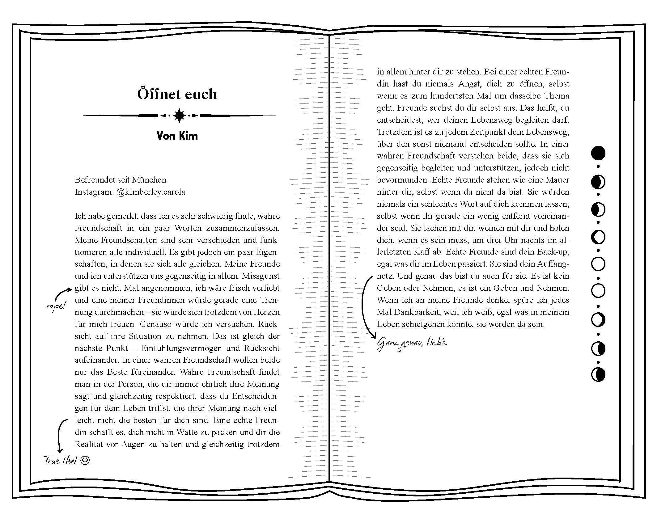 Beispielinhalt (Bild) My Court of Friends and Foes