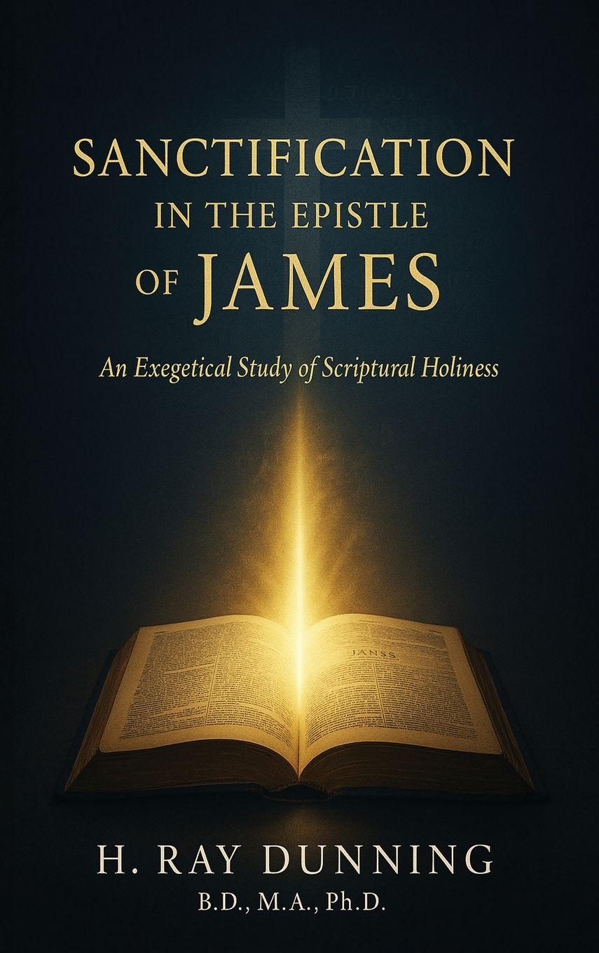 Vorderes Coverbild Sanctification in the Epistle of James