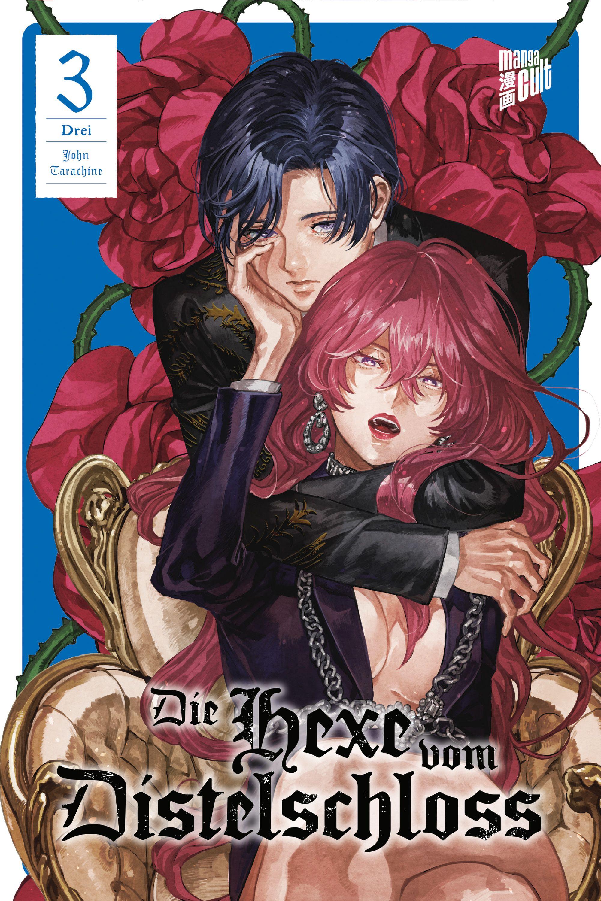 Vorderes Coverbild Die Hexe vom Distelschloss 3