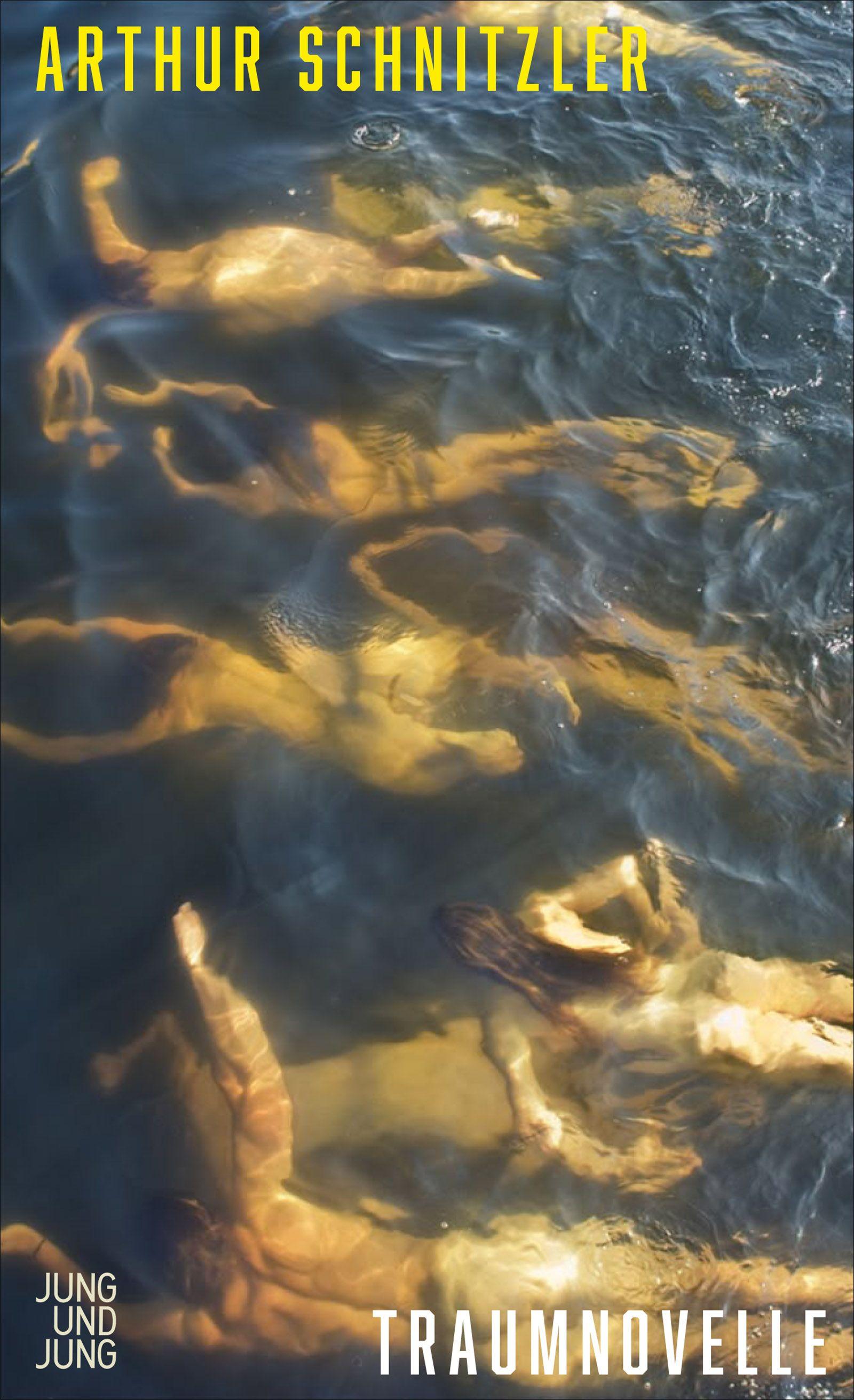 Vorderes Coverbild Traumnovelle