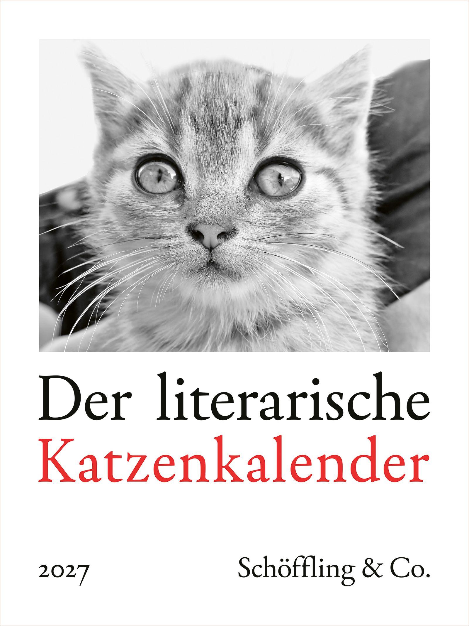 Vorderes Coverbild Der literarische Katzenkalender 2027