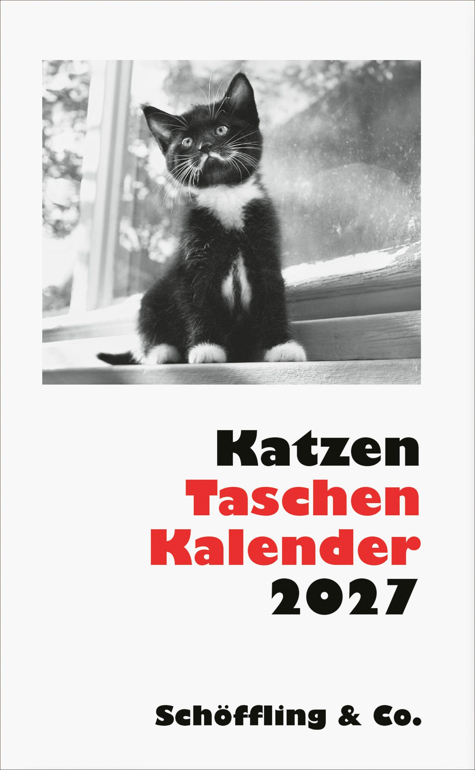 Vorderes Coverbild Katzen Taschenkalender 2027