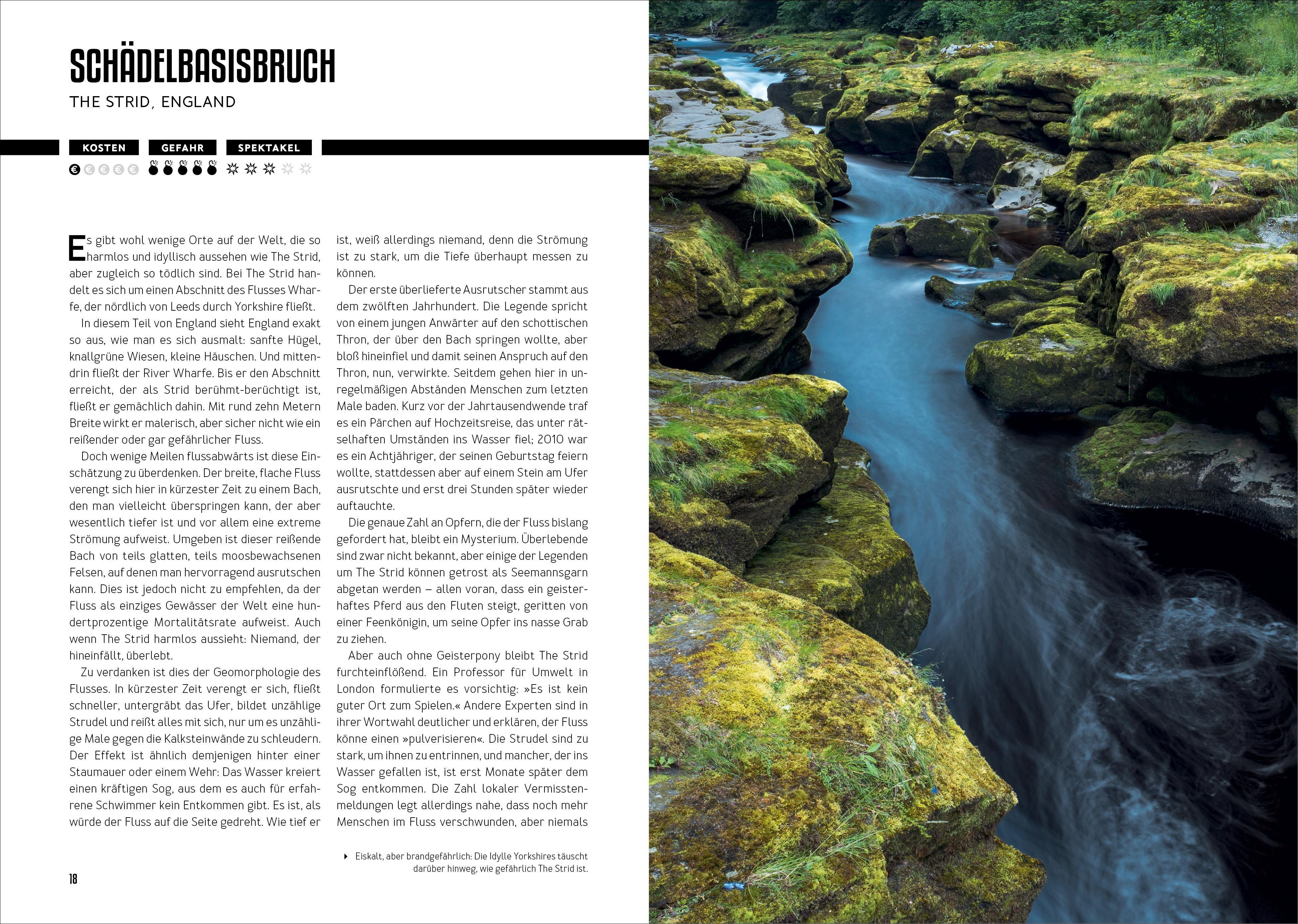 Beispielinhalt (Bild) How to Kill Yourself Abroad