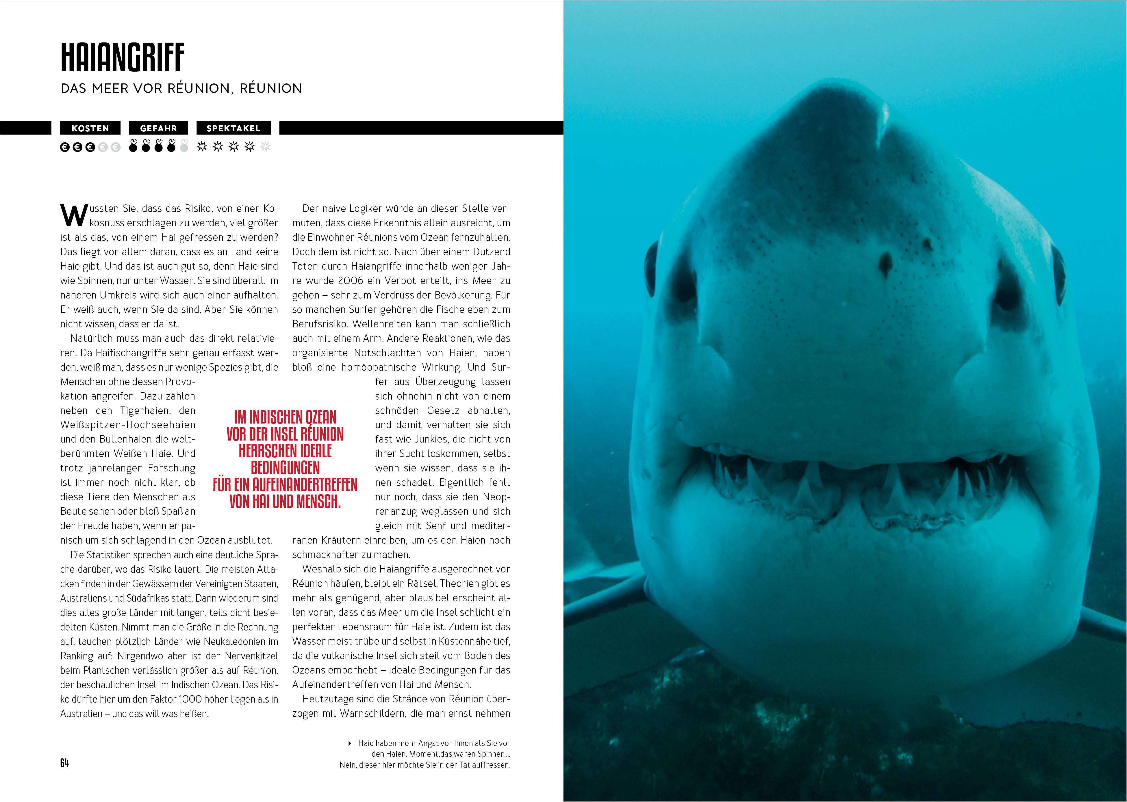 Beispielinhalt (Bild) How to Kill Yourself Abroad