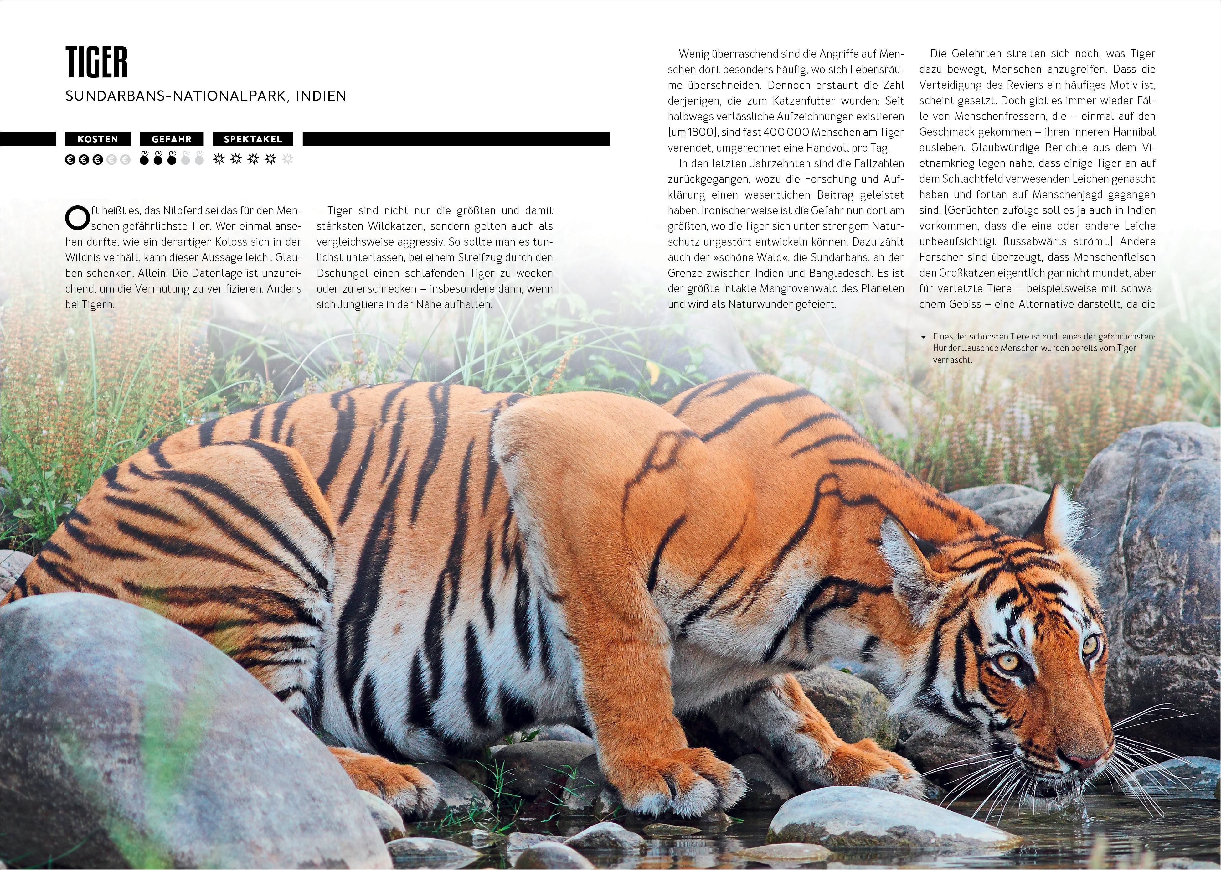 Beispielinhalt (Bild) How to Kill Yourself Abroad