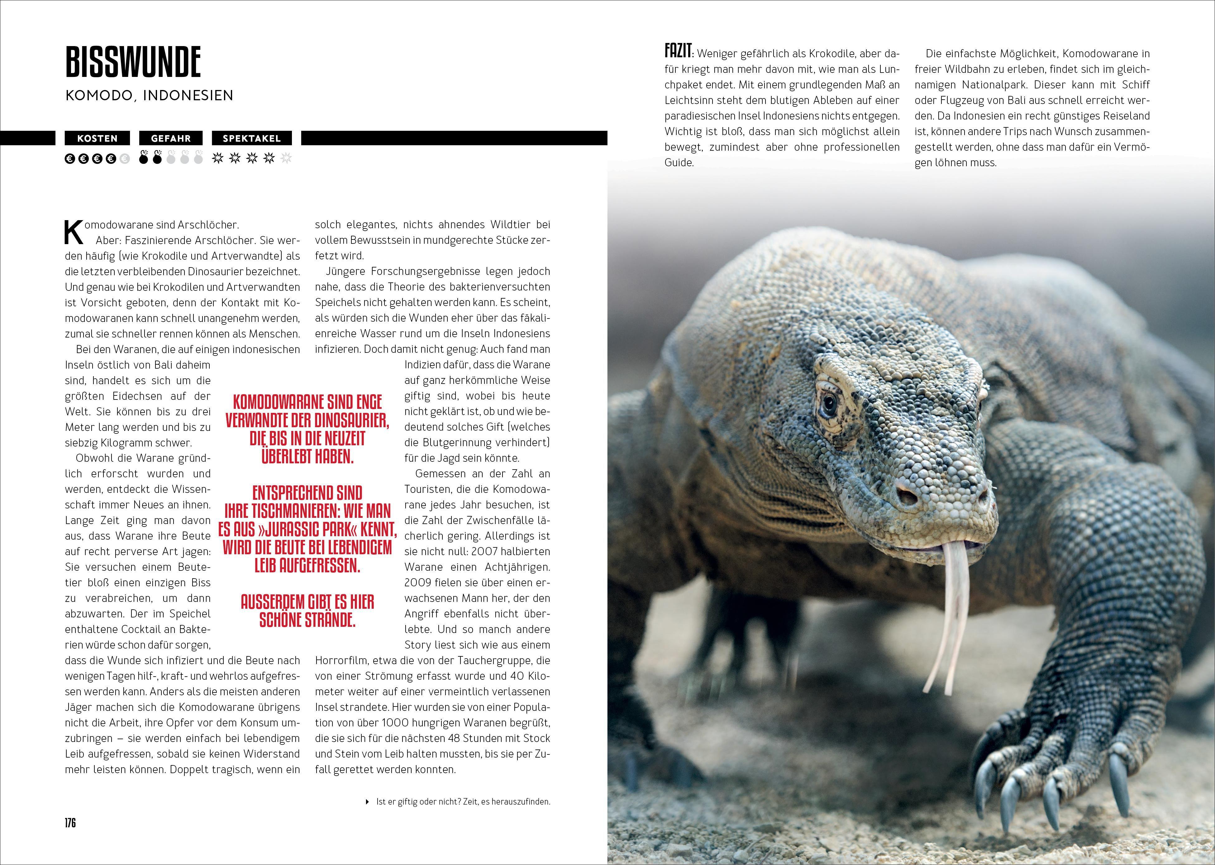 Beispielinhalt (Bild) How to Kill Yourself Abroad