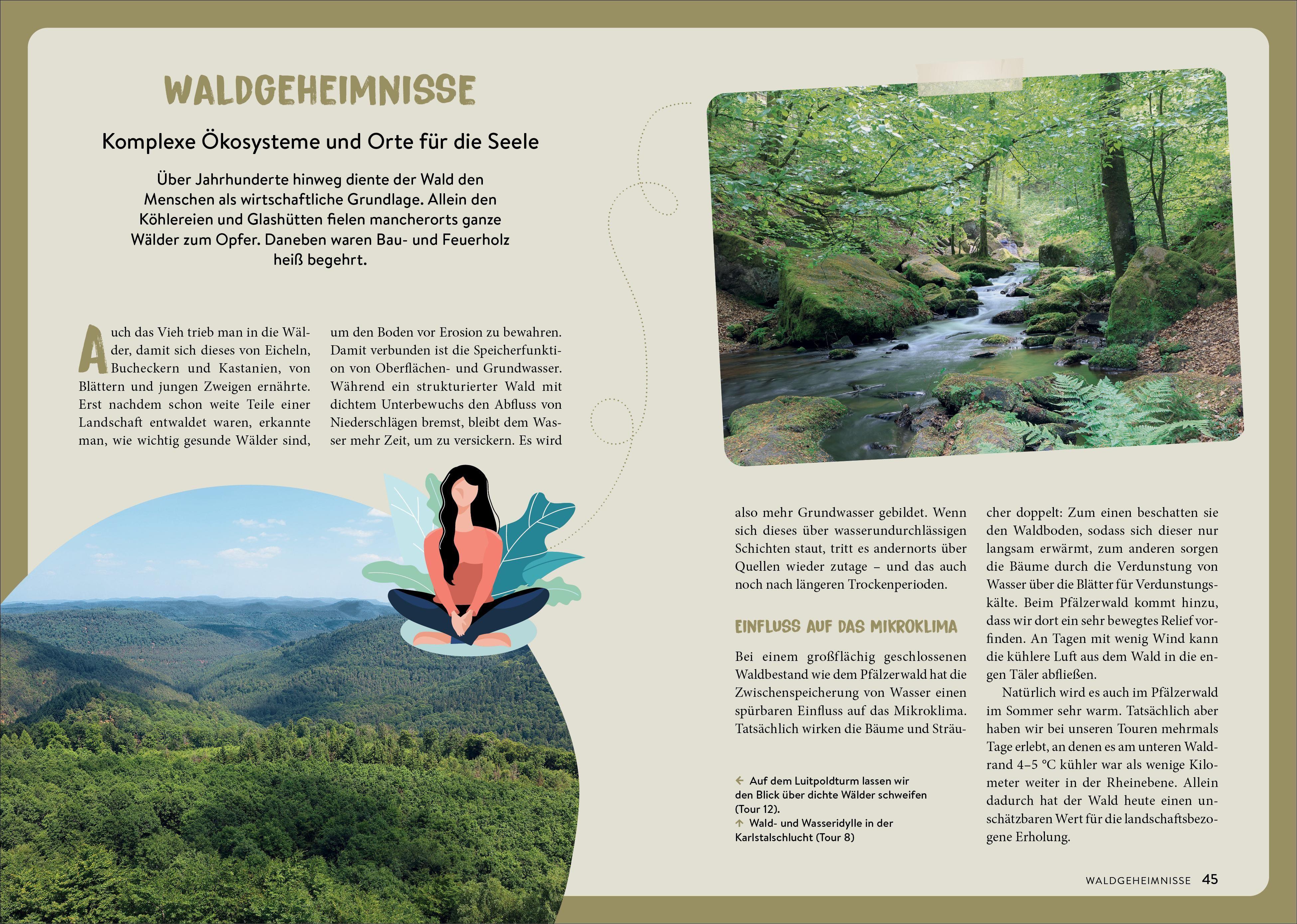 Beispielinhalt (Bild) Der Weg ist das Ziel Pfälzerwald