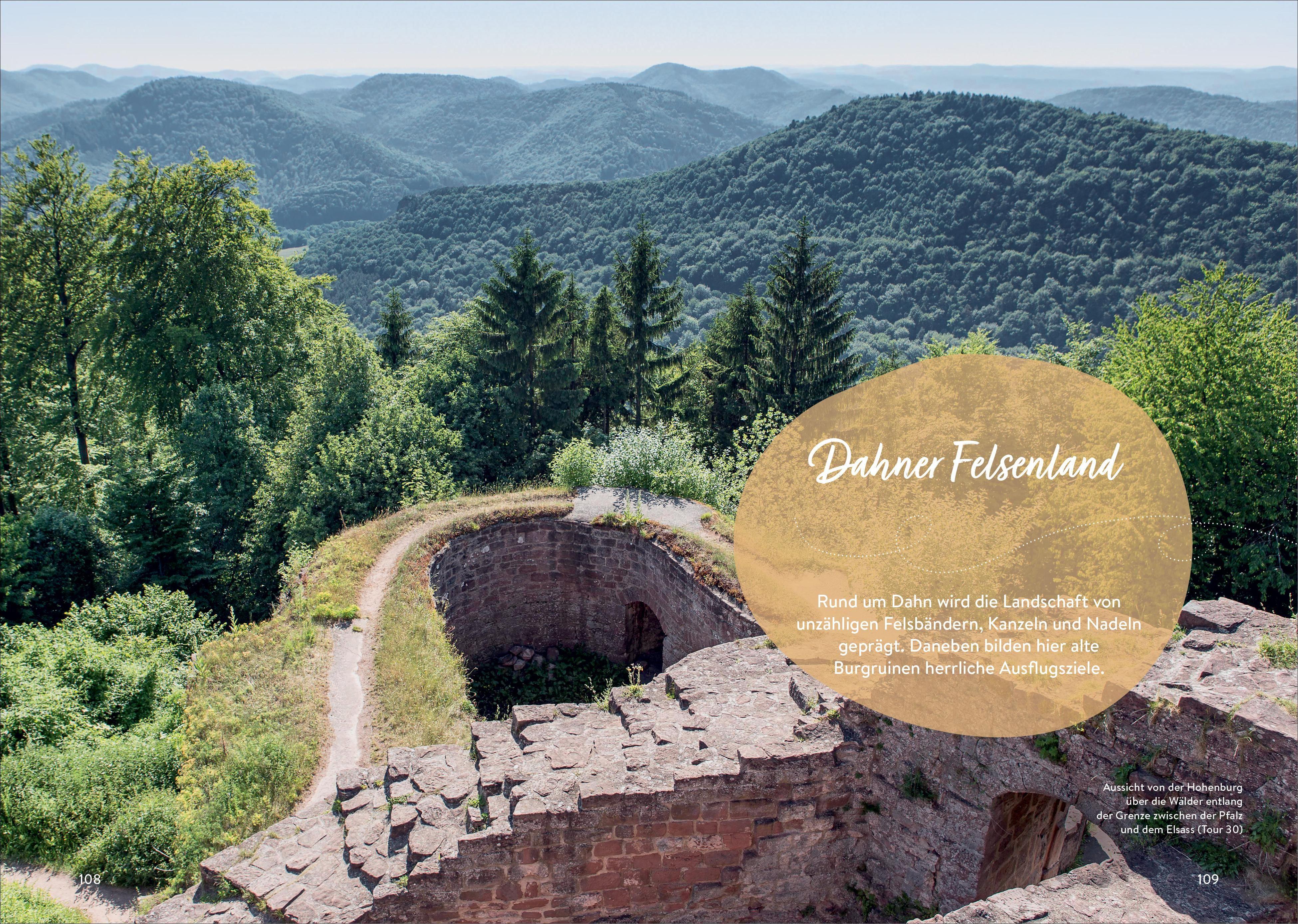 Beispielinhalt (Bild) Der Weg ist das Ziel Pfälzerwald