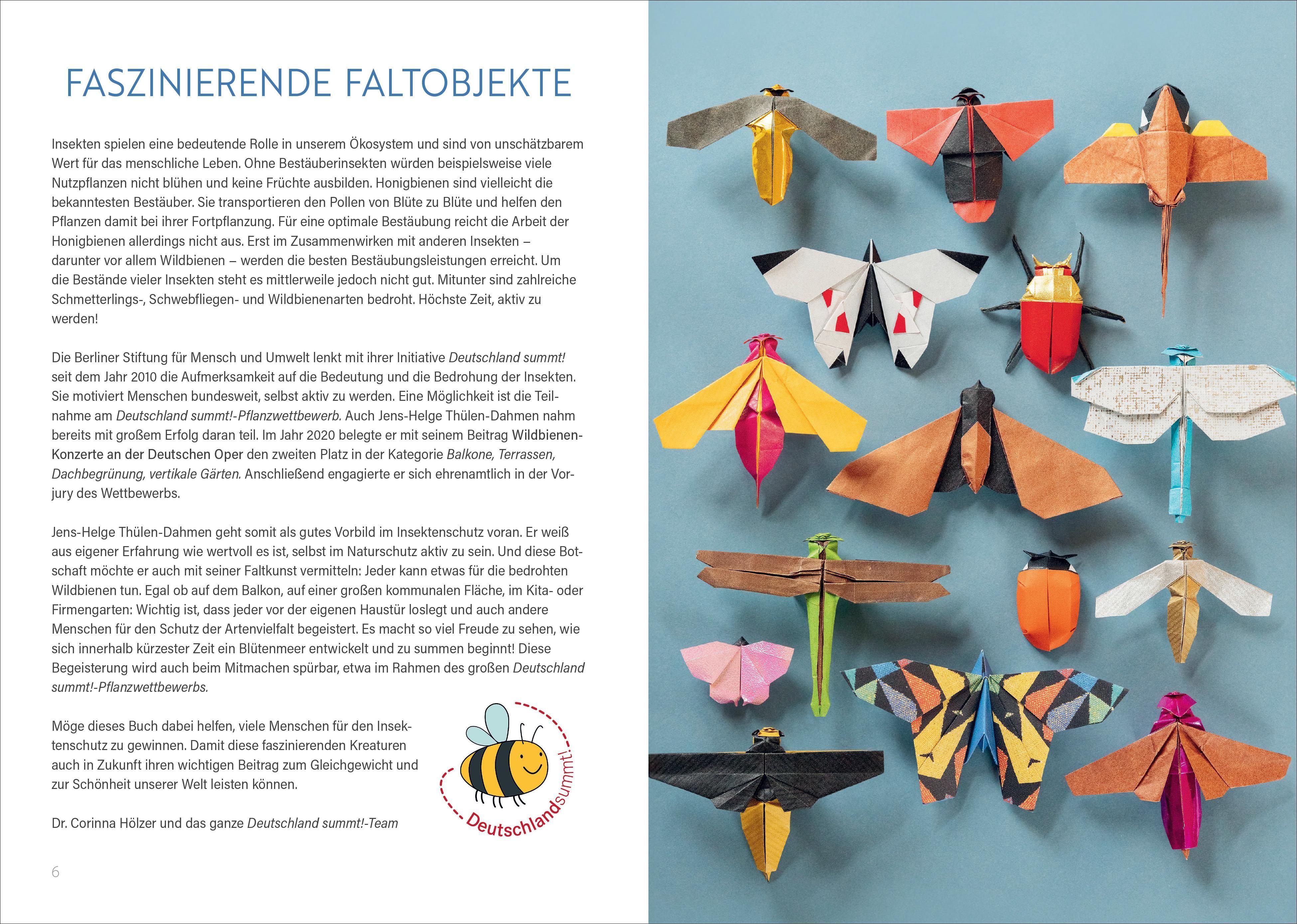 Beispielinhalt (Bild) Origami: Bee, Bug und Butterfly