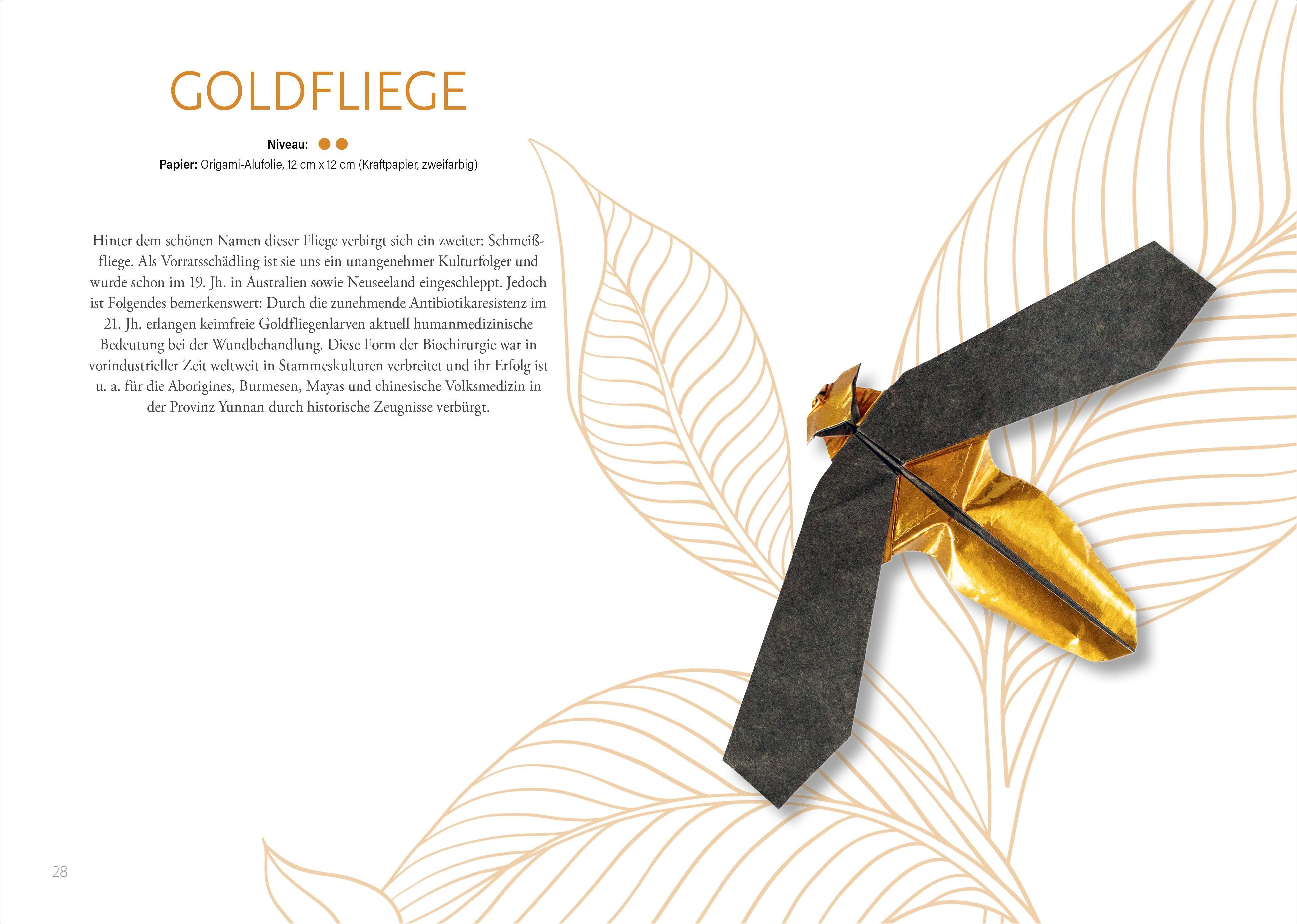 Beispielinhalt (Bild) Origami: Bee, Bug und Butterfly