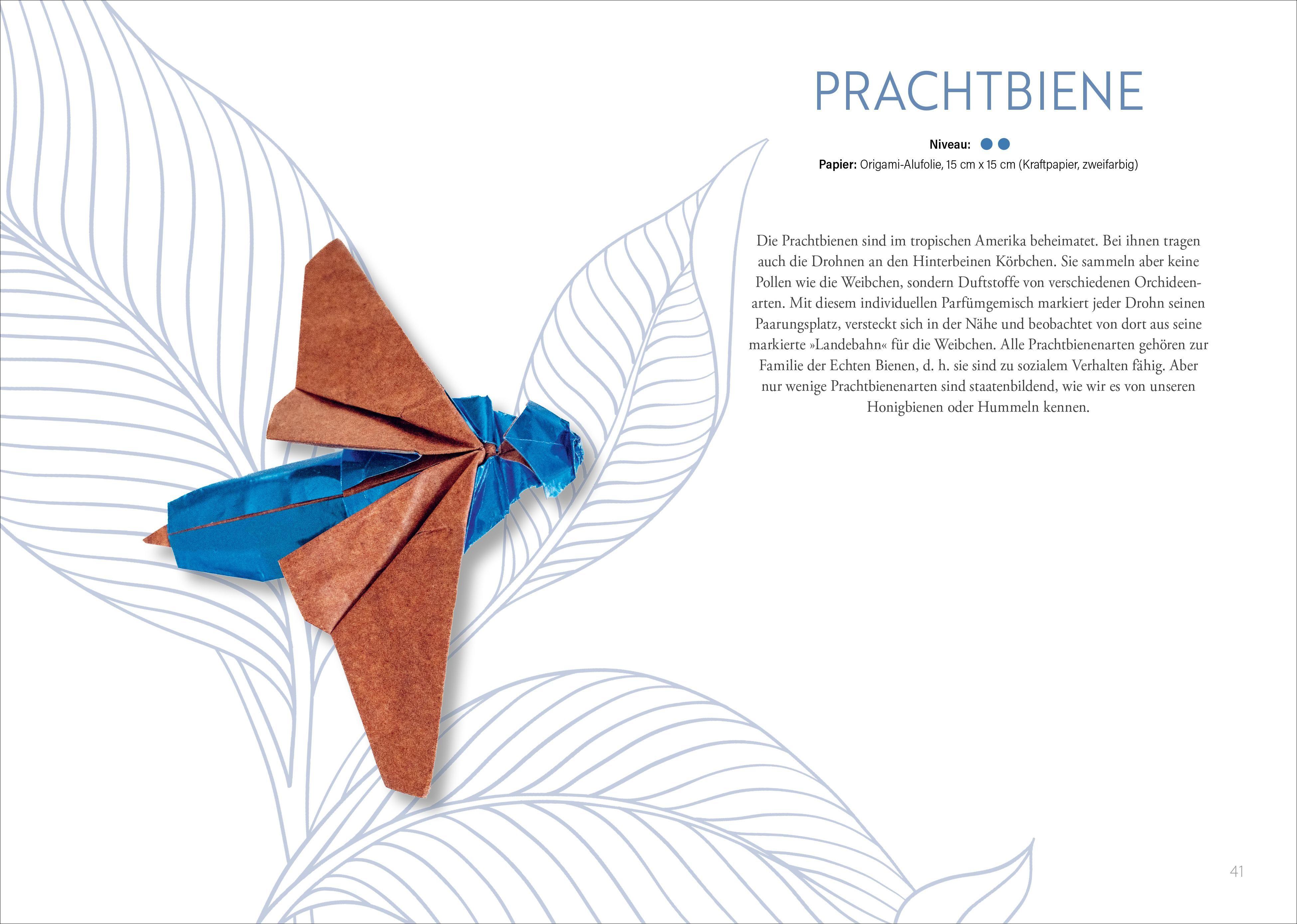 Beispielinhalt (Bild) Origami: Bee, Bug und Butterfly