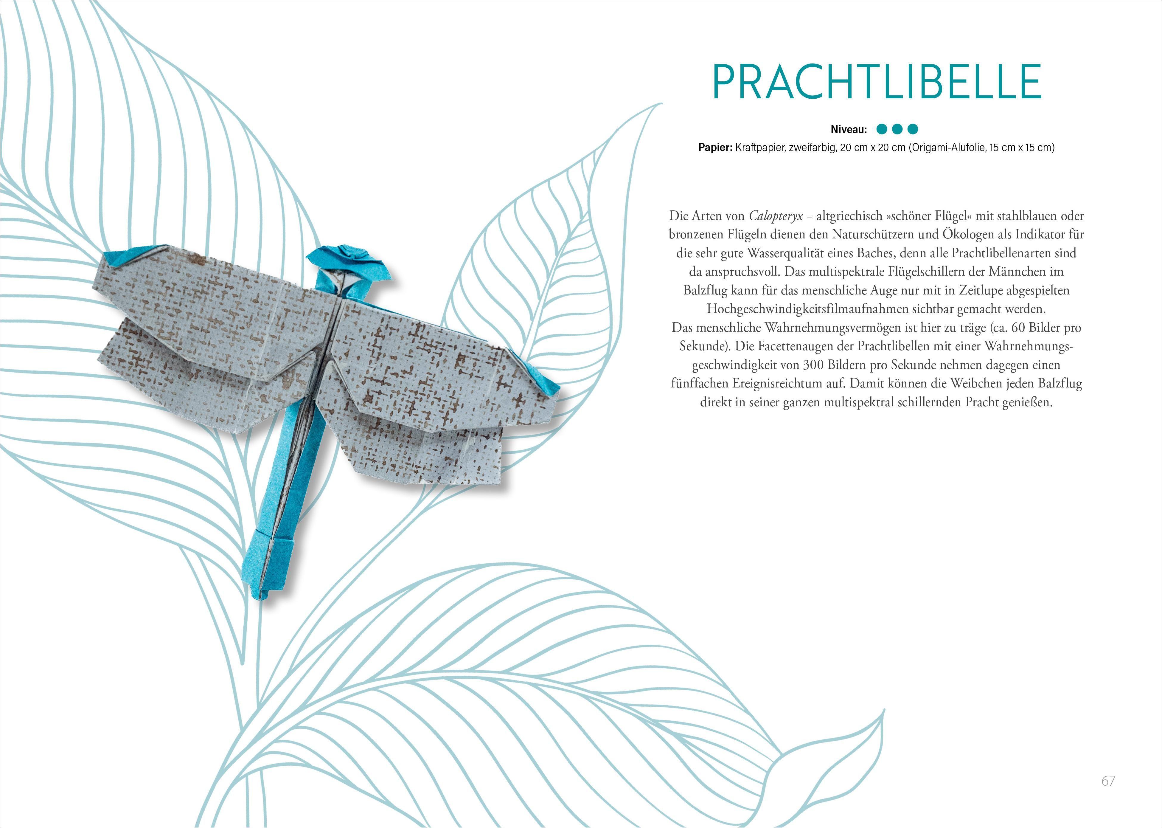 Beispielinhalt (Bild) Origami: Bee, Bug und Butterfly