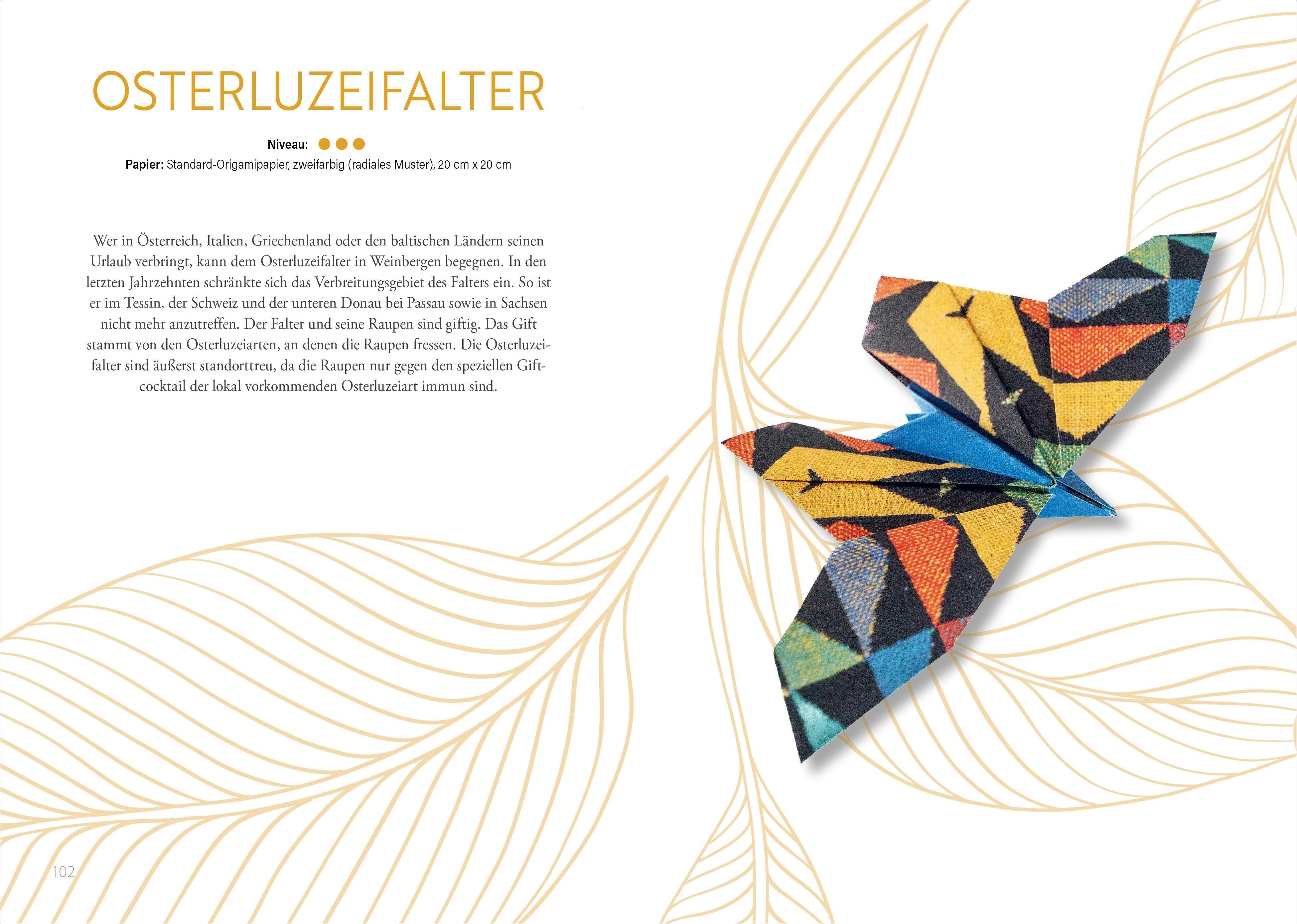 Beispielinhalt (Bild) Origami: Bee, Bug und Butterfly