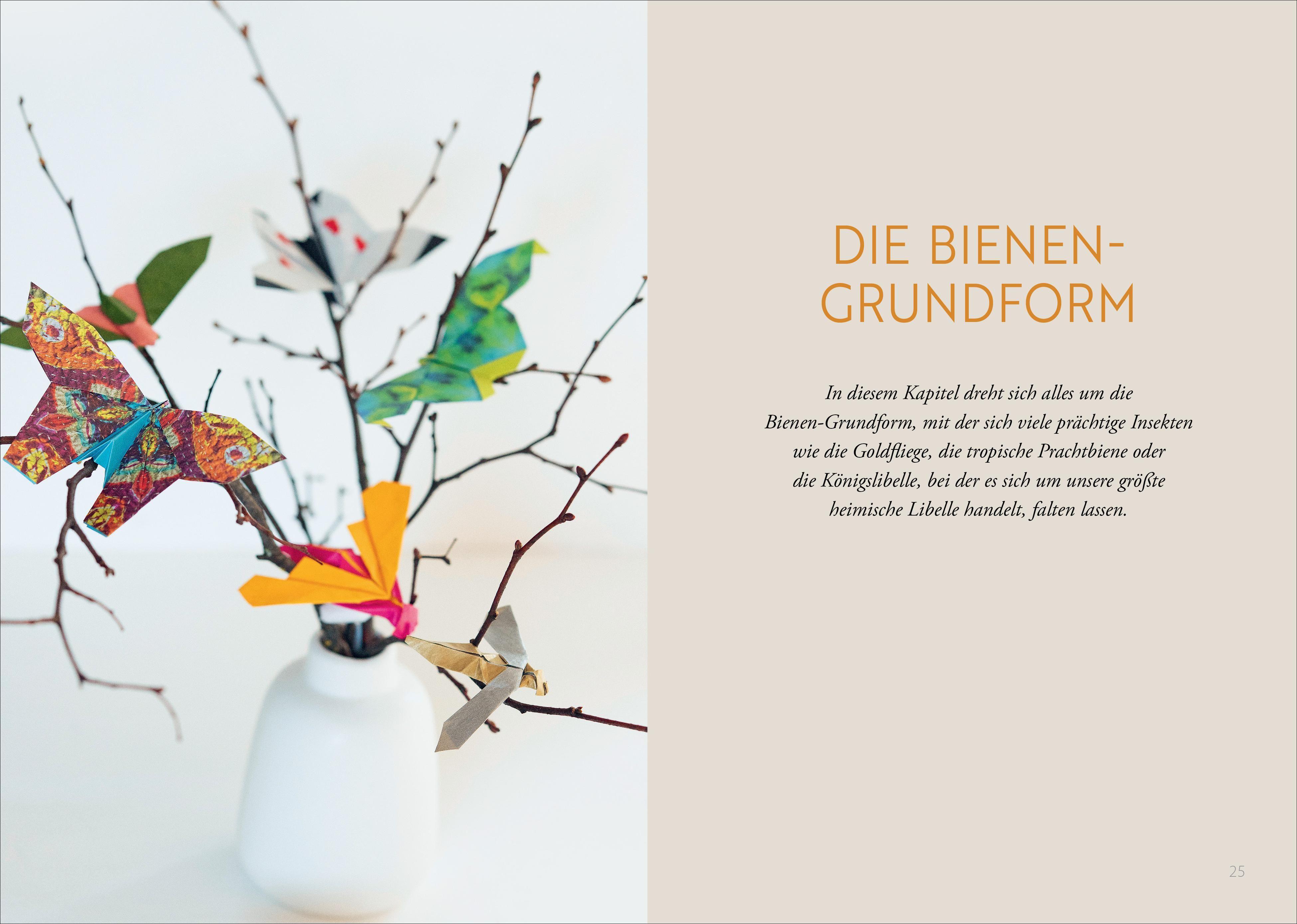 Beispielinhalt (Bild) Origami: Bee, Bug und Butterfly