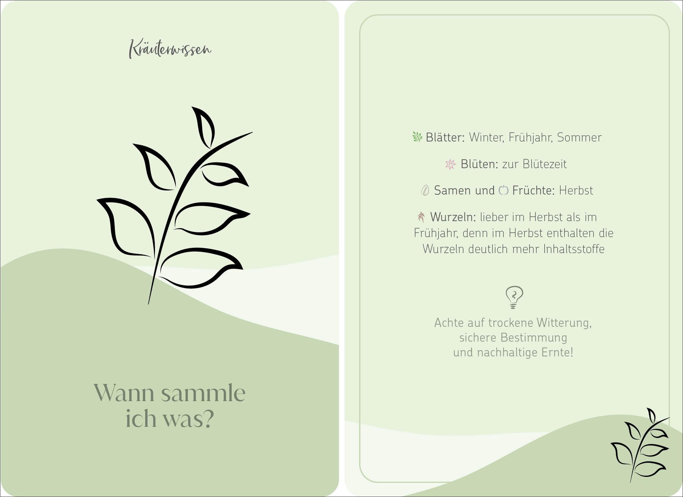 Beispielinhalt (Bild) Dein Weg zu Selfcare aus der Natur