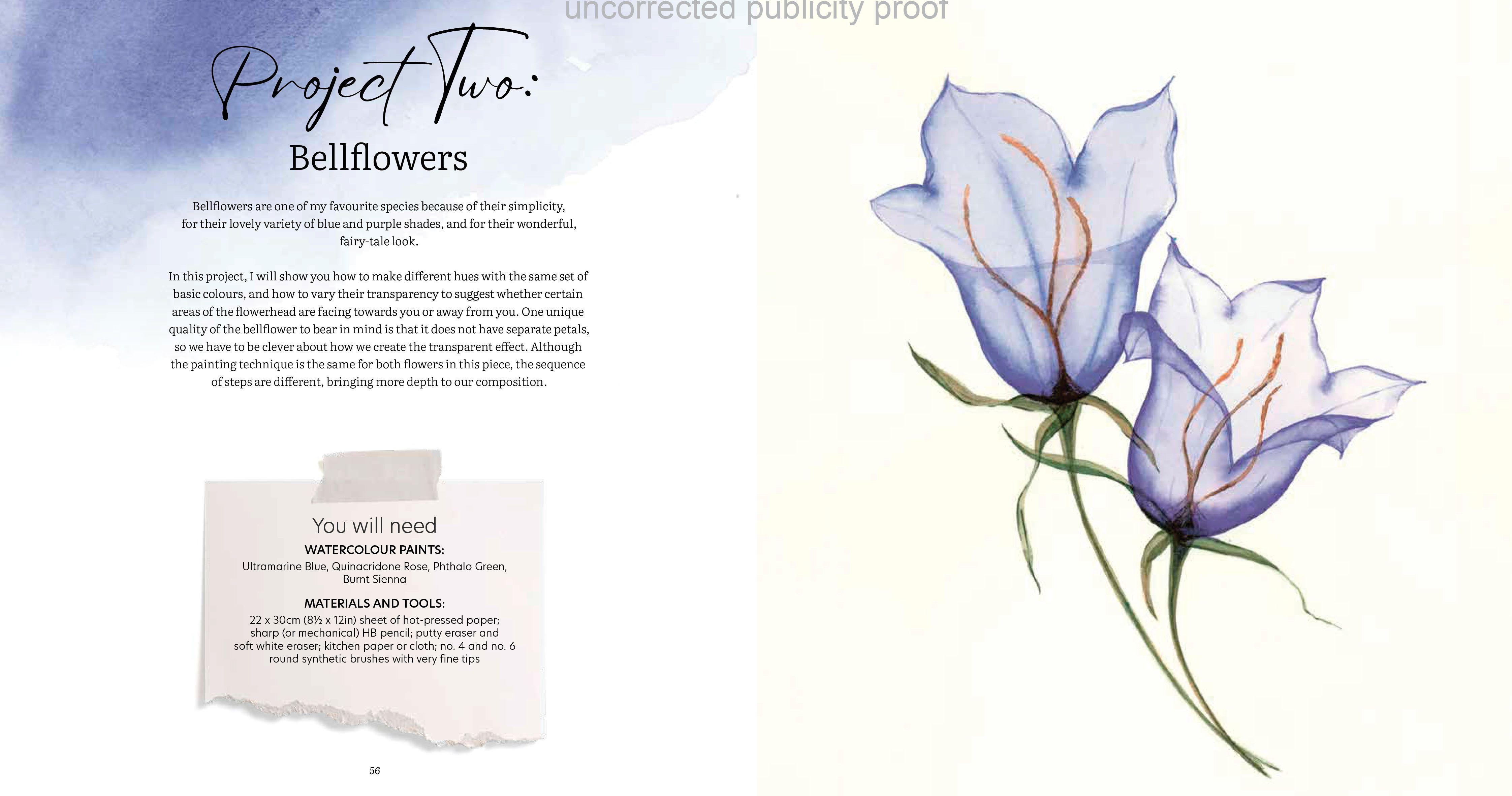 Beispielinhalt (Bild) Aquarell trifft Blütenpoesie