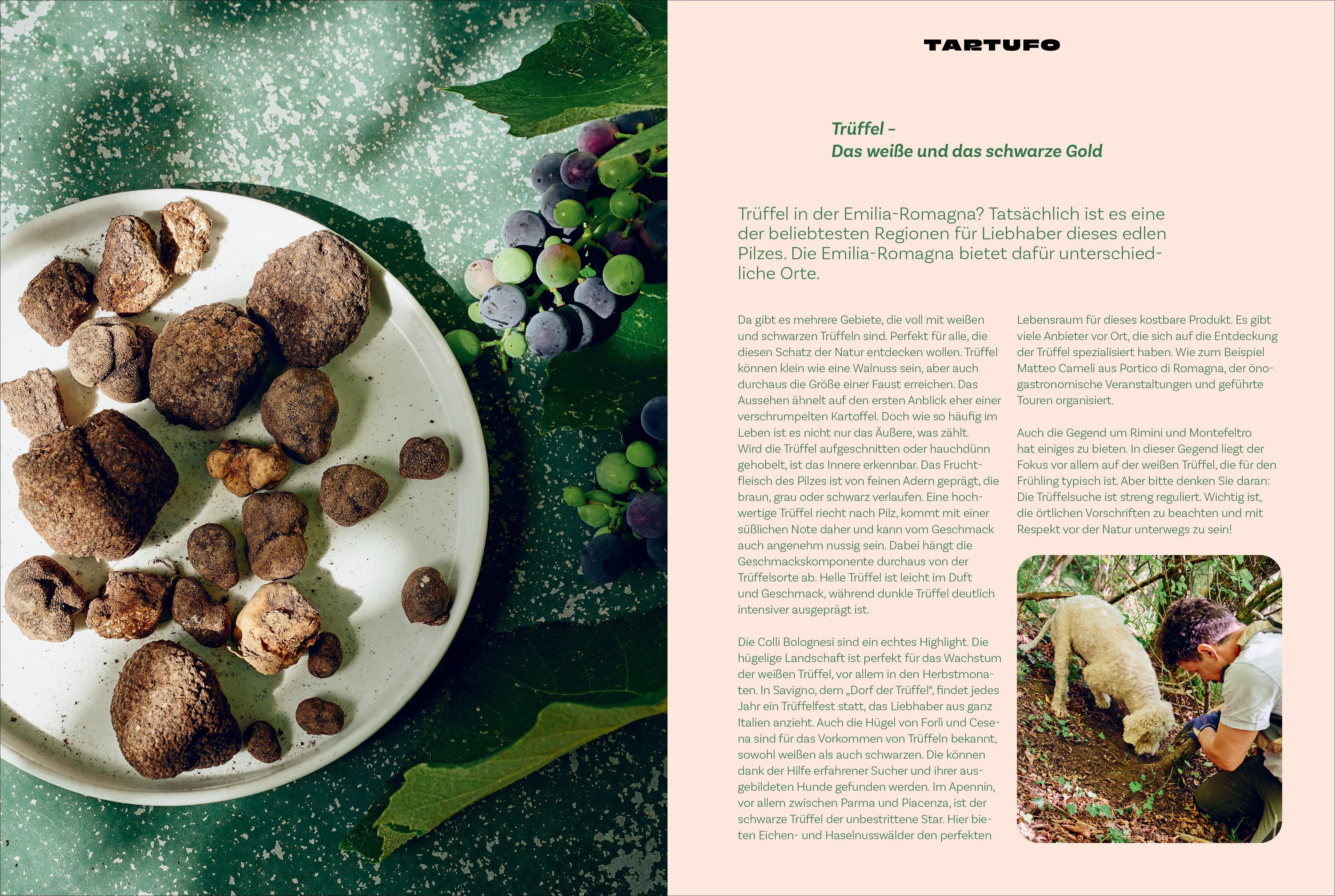 Beispielinhalt (Bild) Emilia-Romagna. Il Cuore del Gusto