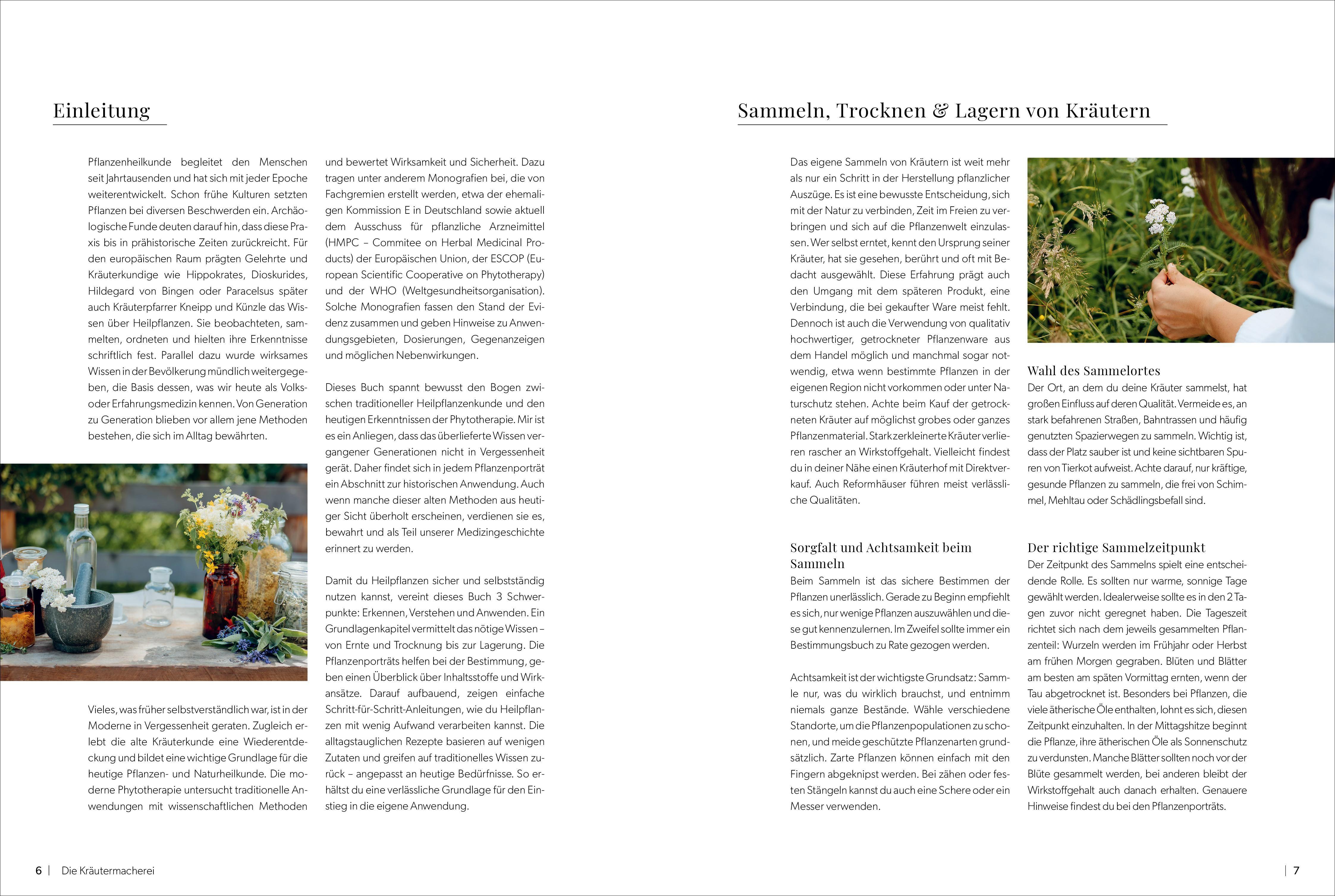 Beispielinhalt (Bild) Die Kräutermacherei. Meine Naturapotheke.