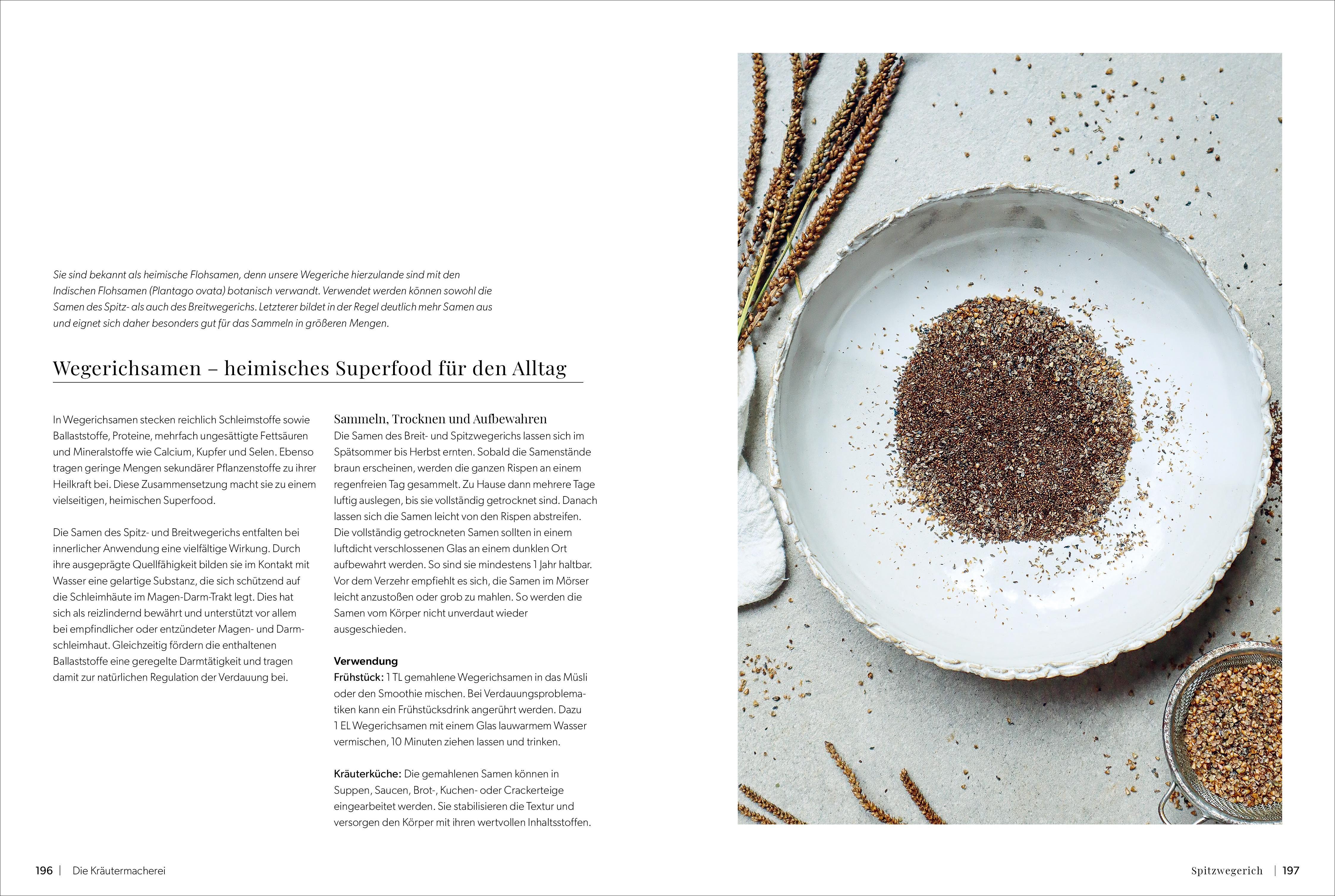 Beispielinhalt (Bild) Die Kräutermacherei. Meine Naturapotheke.