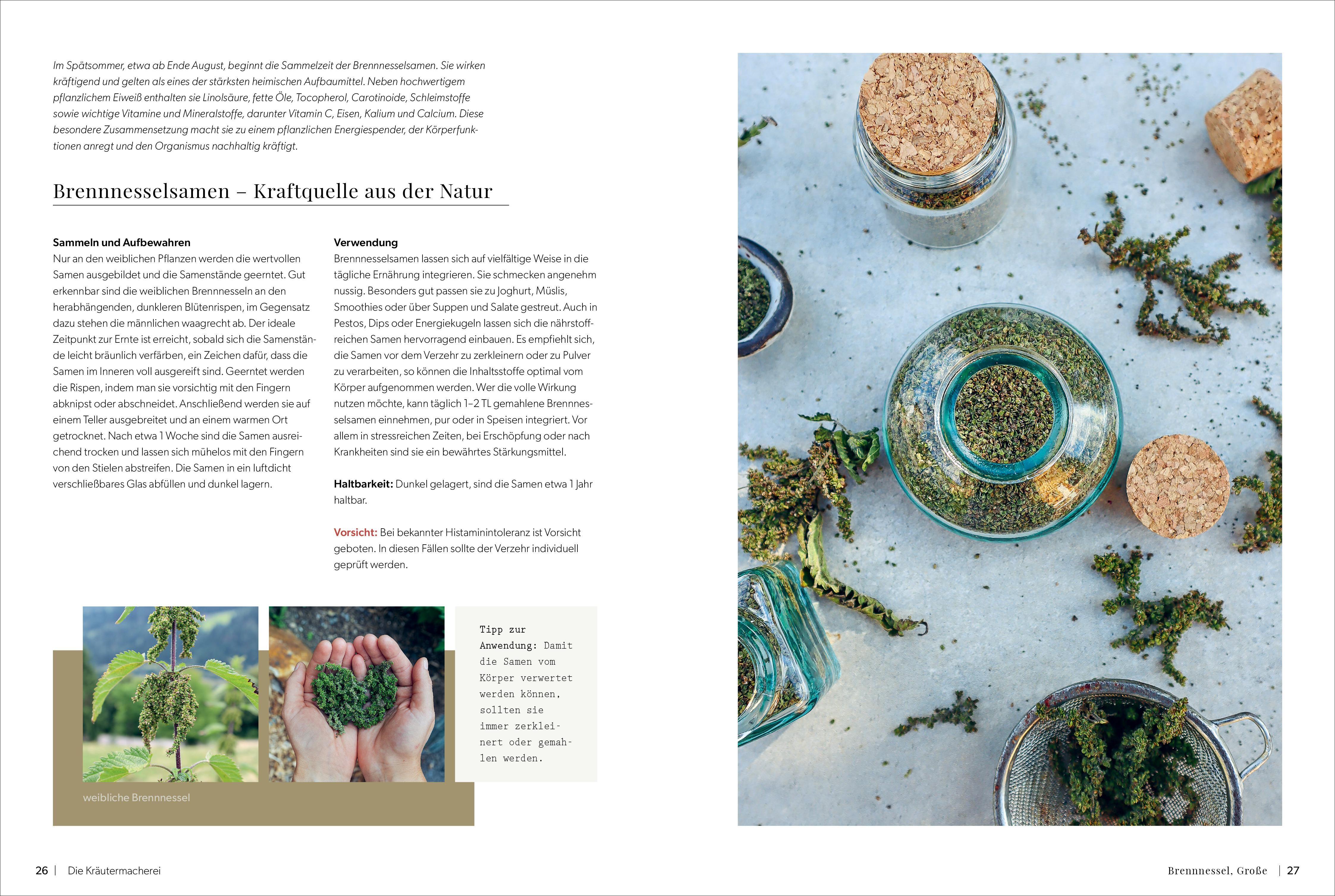 Beispielinhalt (Bild) Die Kräutermacherei. Meine Naturapotheke.