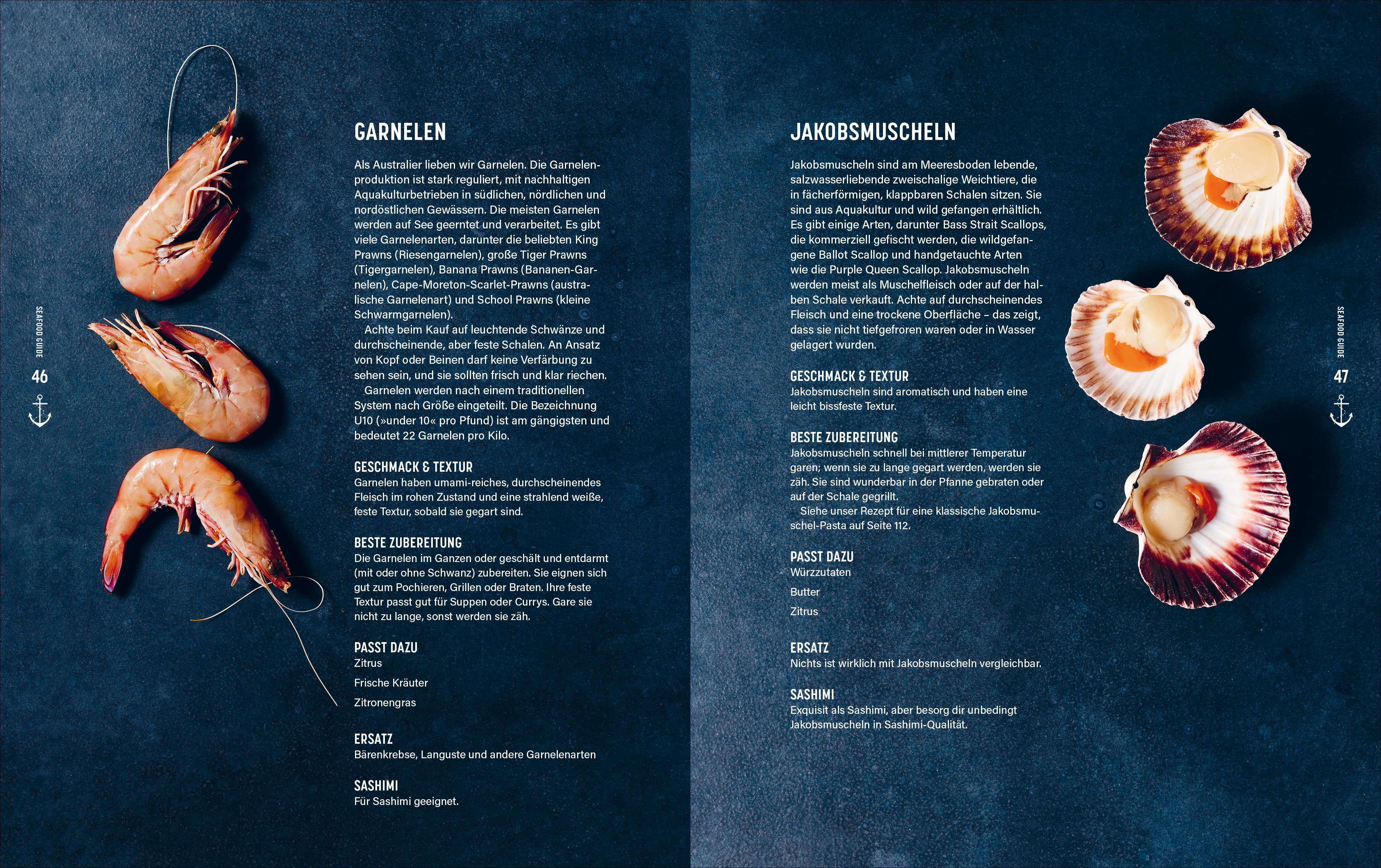 Beispielinhalt (Bild) Catch of the Day