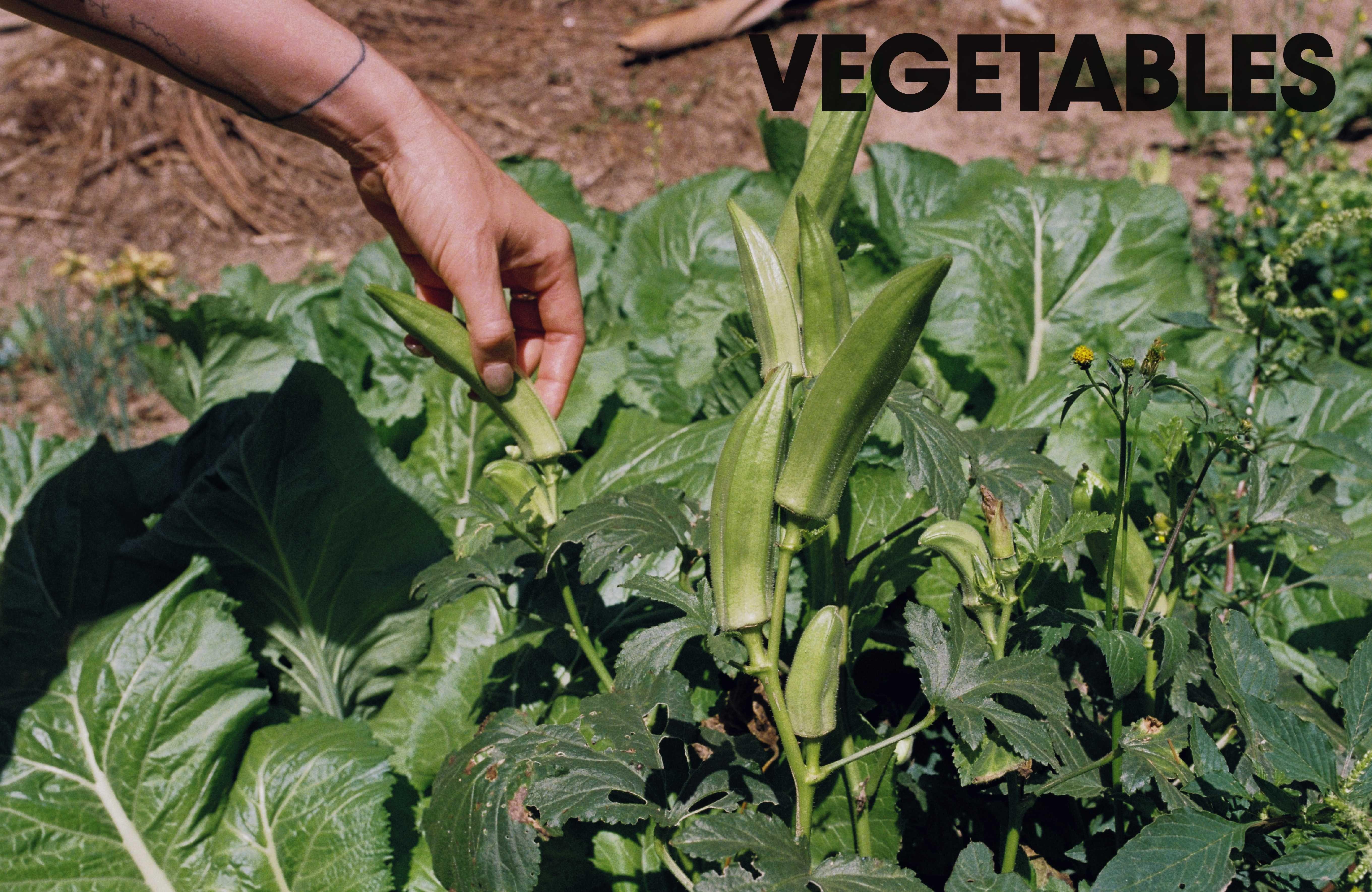 Beispielinhalt (Bild) Fusao