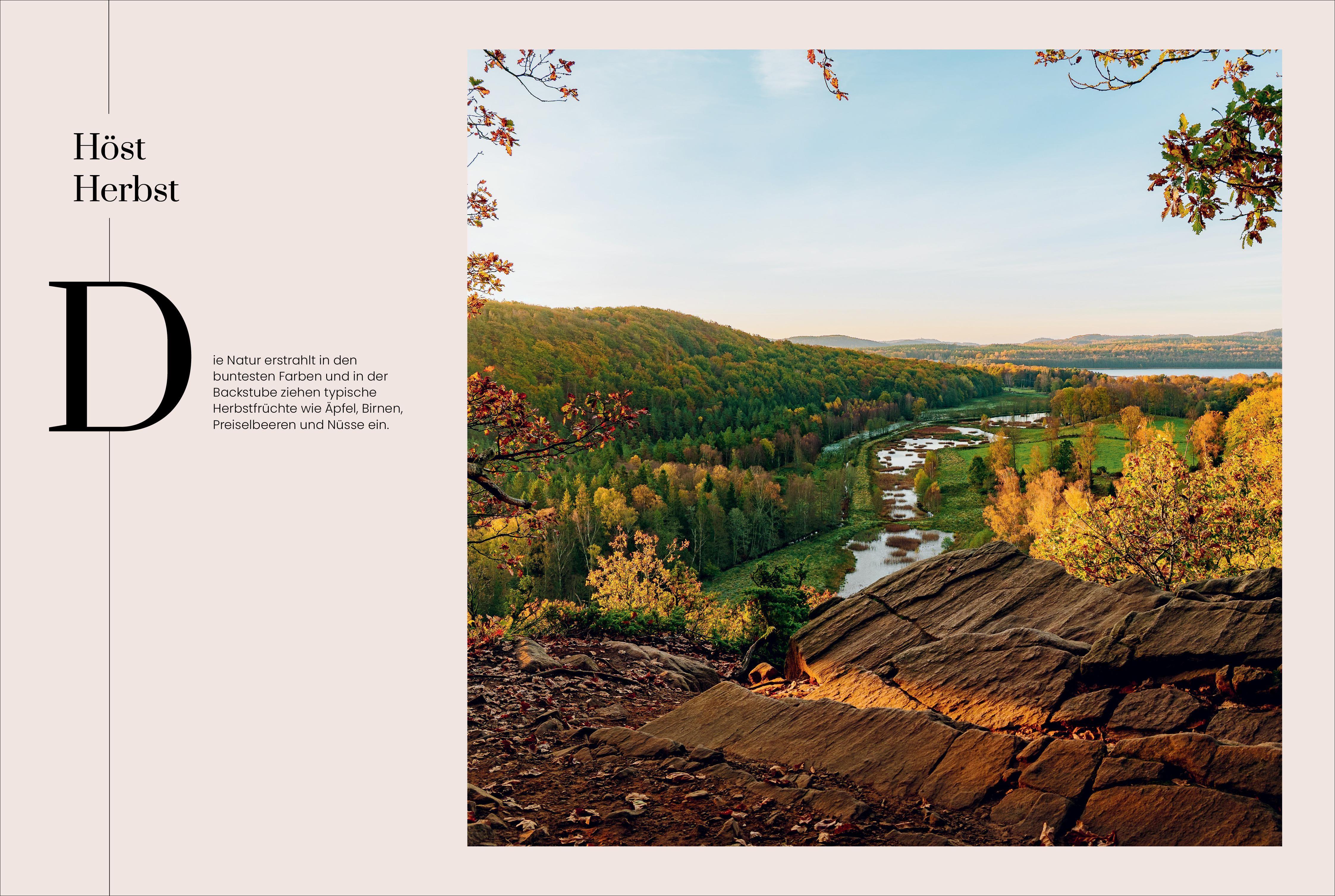 Beispielinhalt (Bild) Meine schwedische Backstube