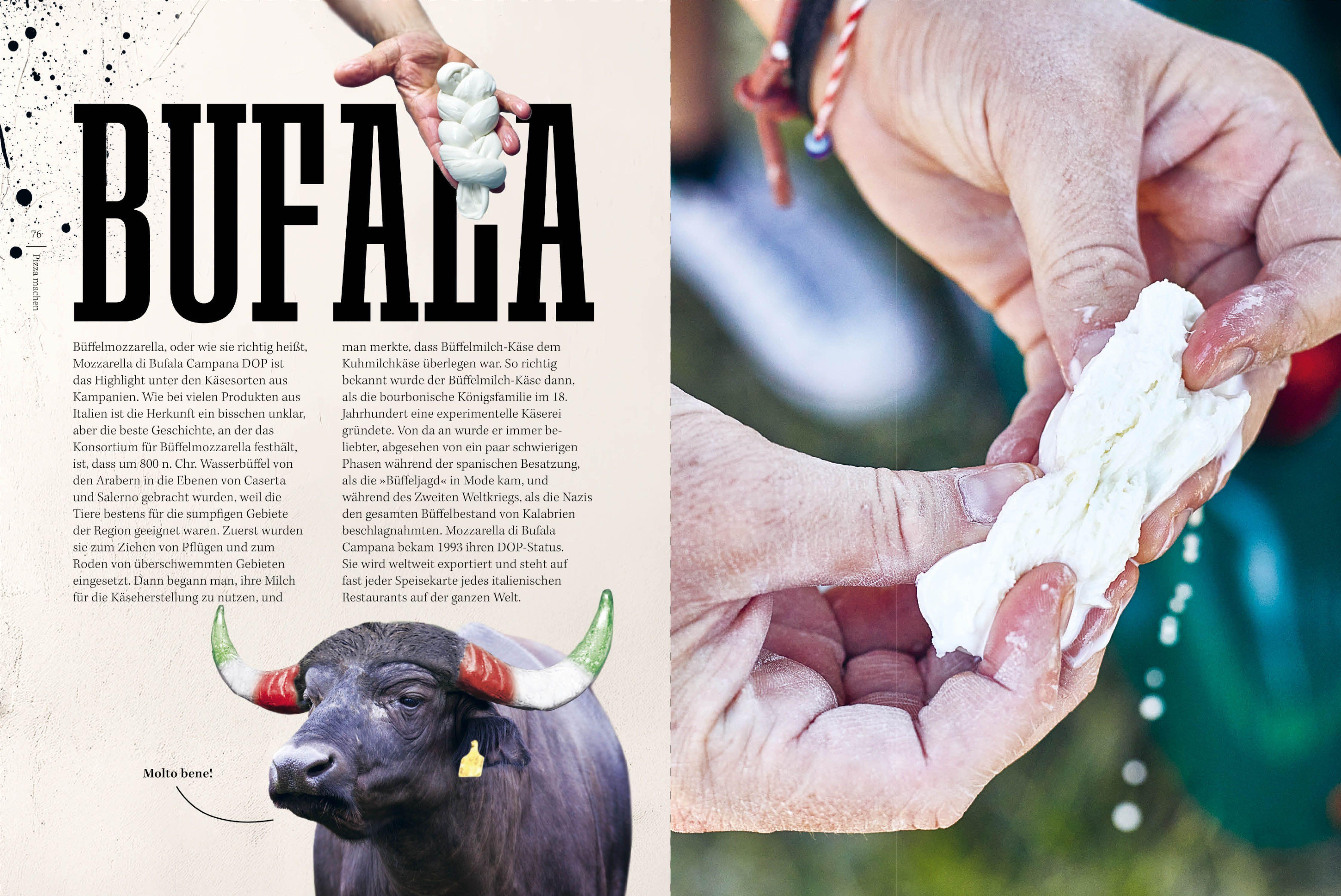 Beispielinhalt (Bild) Pizza Napoli