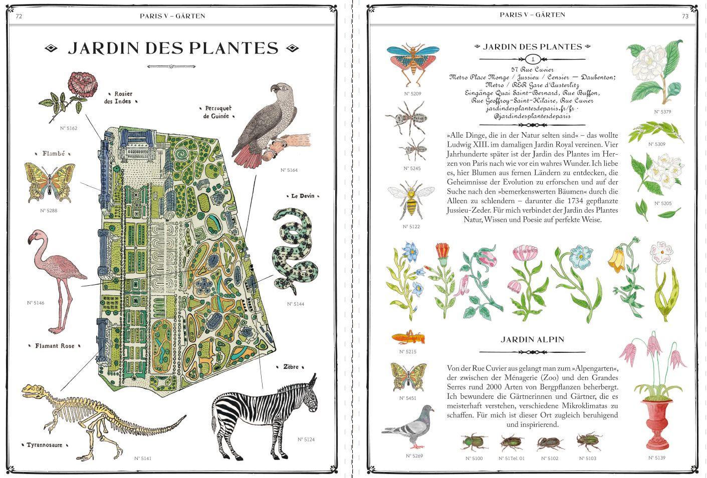 Beispielinhalt (Bild) PARIS