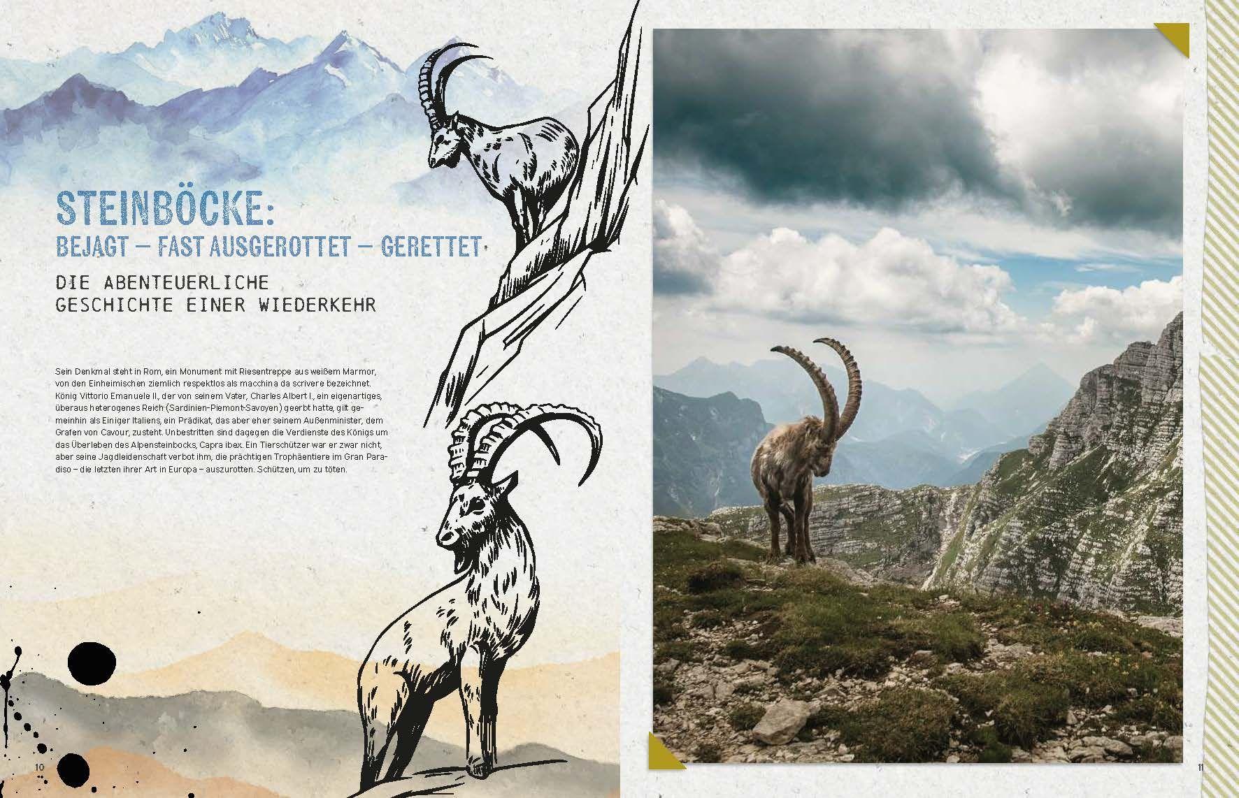 Beispielinhalt (Bild) Die Alpen-Bibel