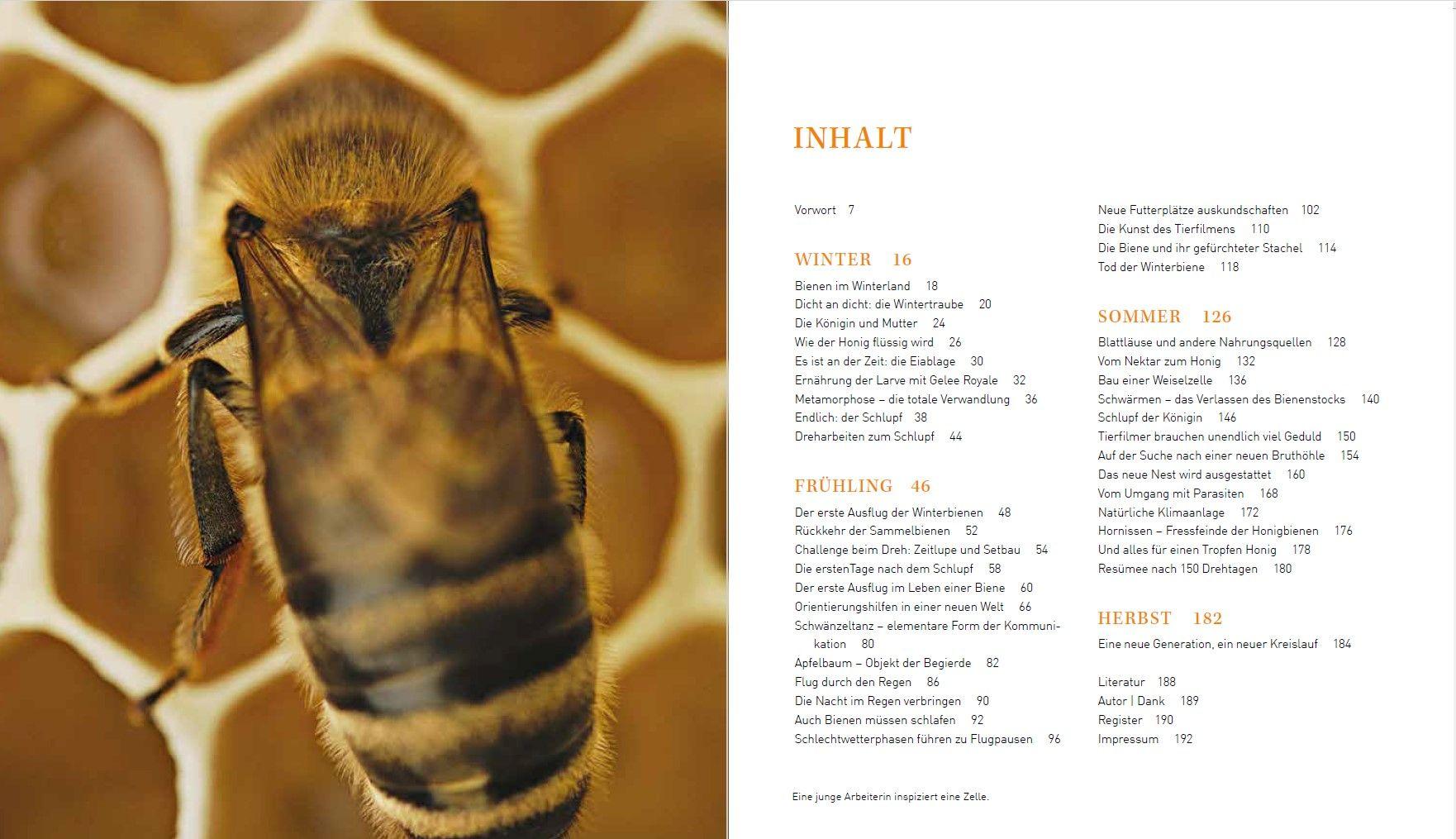 Beispielinhalt (Bild) Tagebuch einer Biene