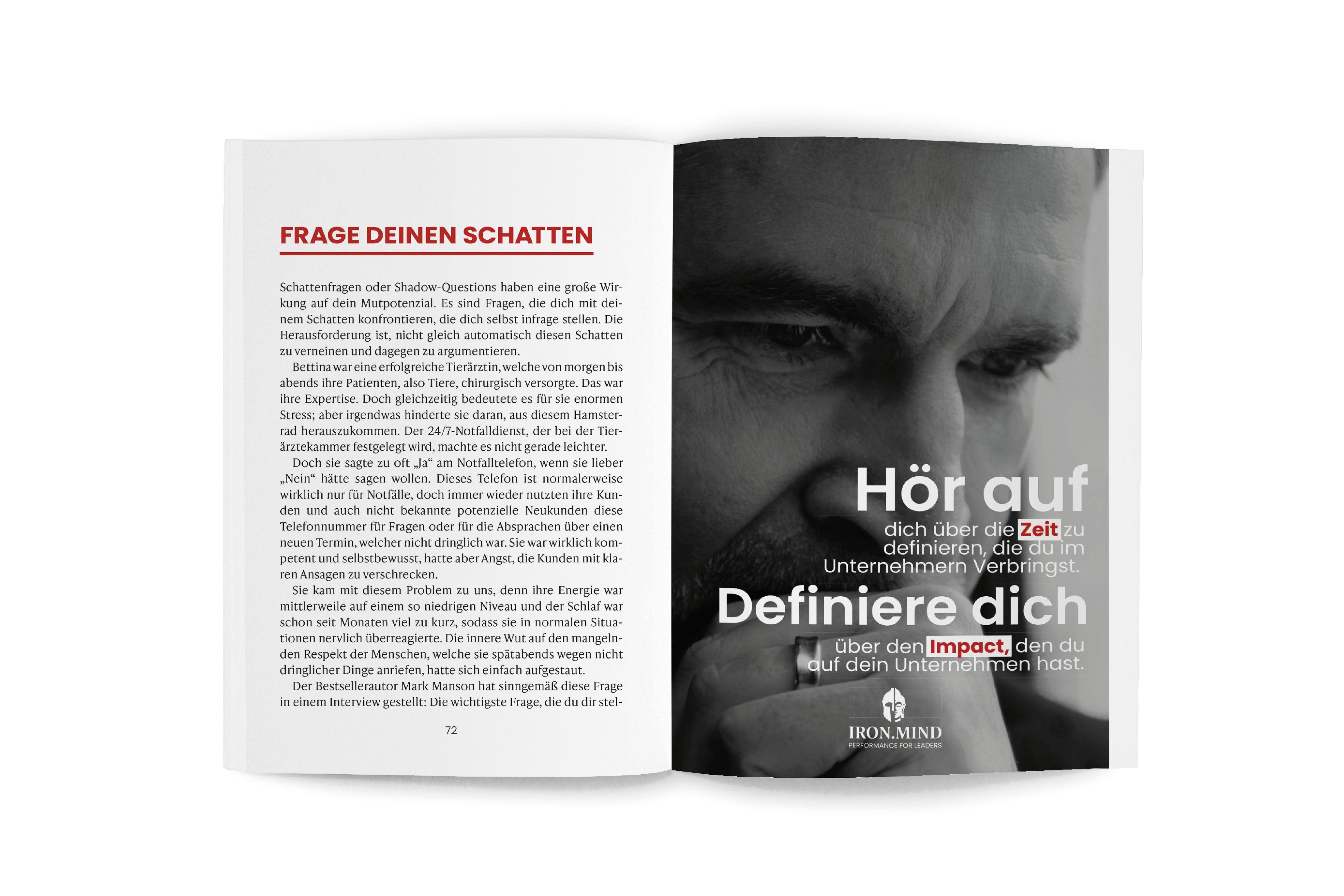 Beispielinhalt (Bild) Iron Mindset