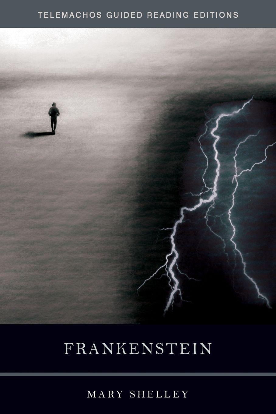 Vorderes Coverbild Frankenstein