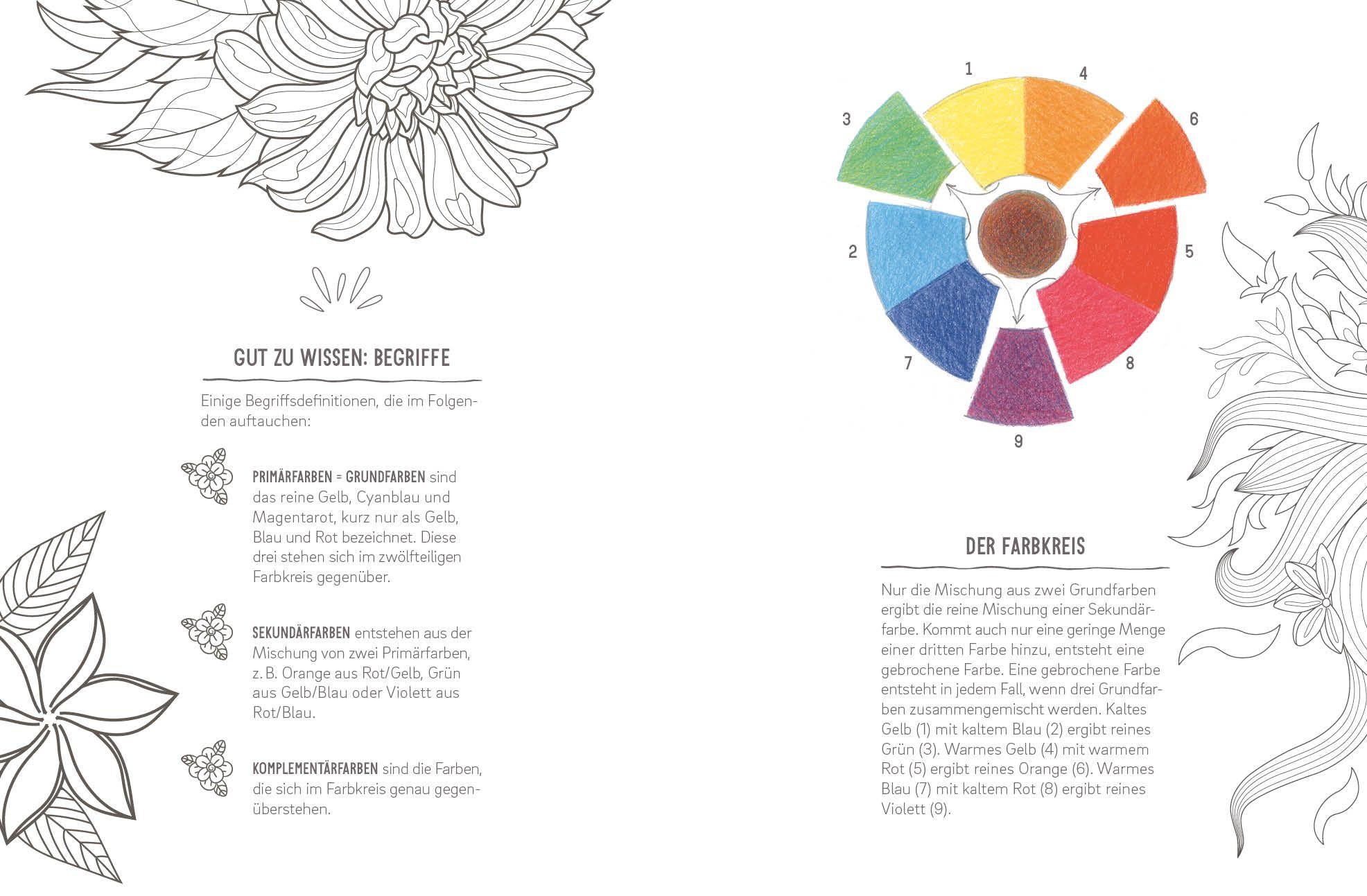 Beispielinhalt (Bild) Colorful Mandala - Tropenzauber