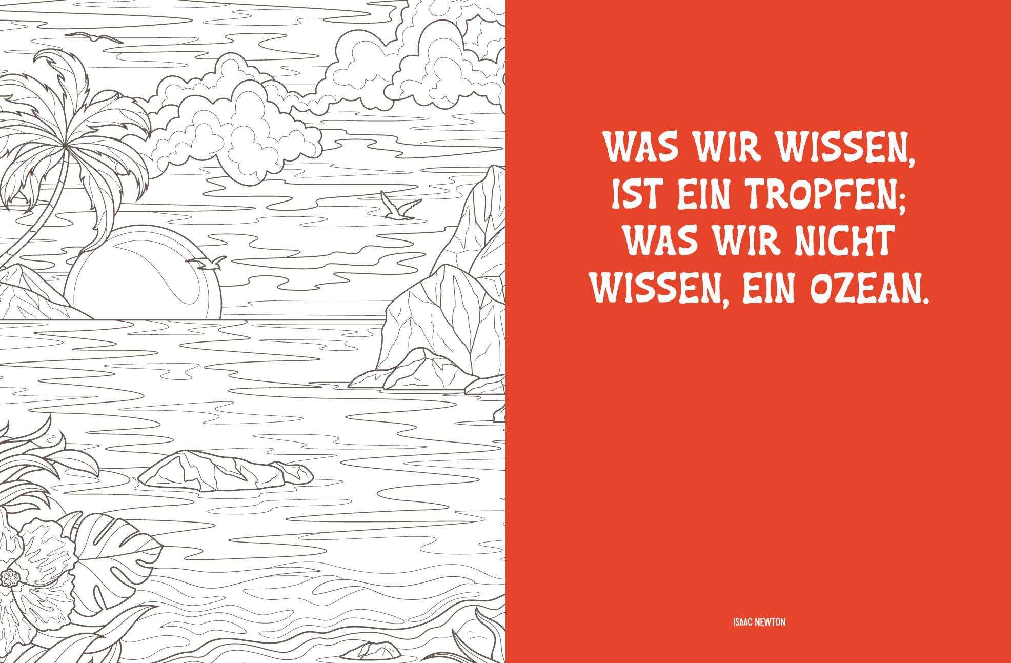 Beispielinhalt (Bild) Colorful Mandala - Tropenzauber