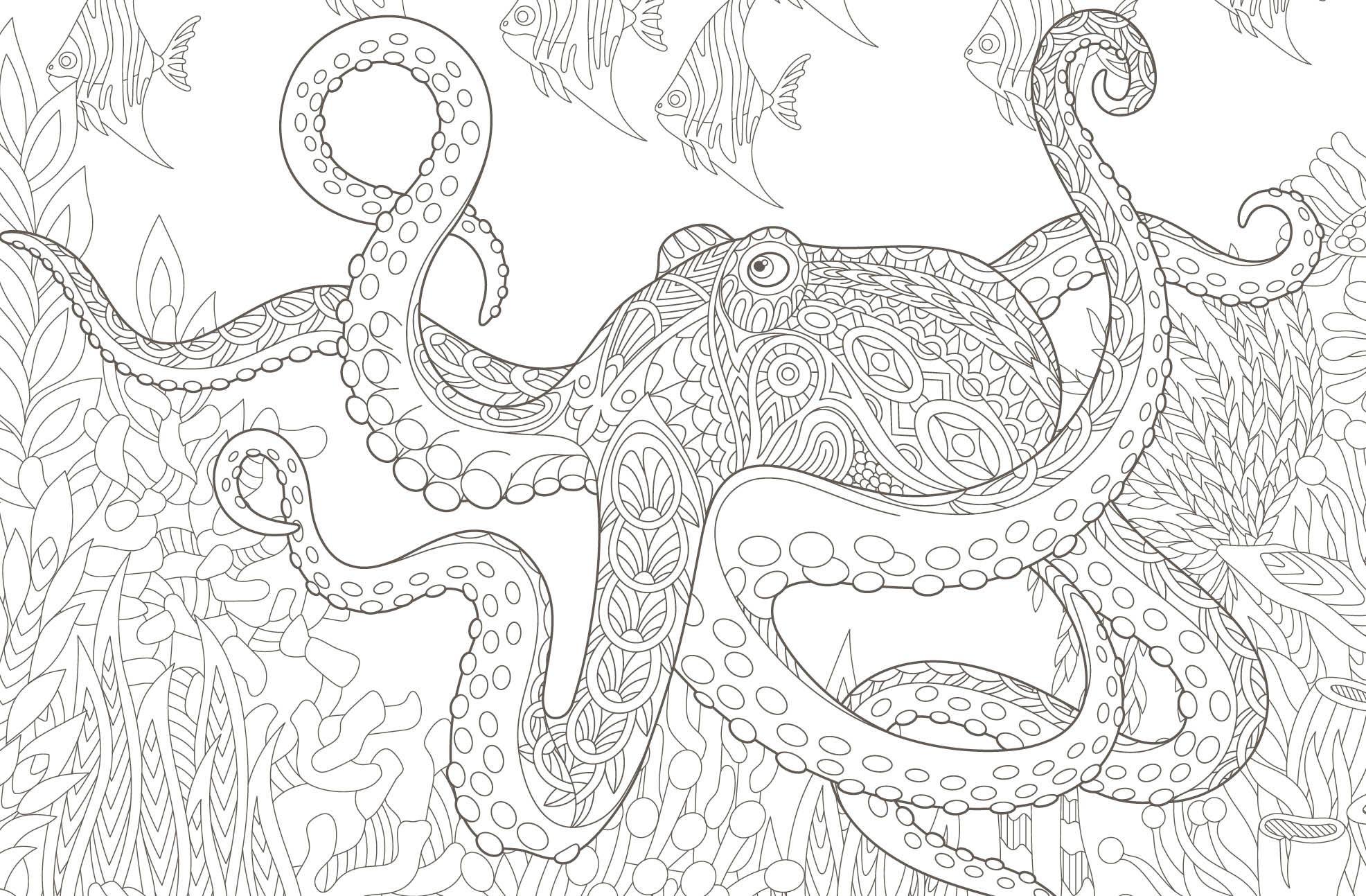 Beispielinhalt (Bild) Colorful Mandala - Tropenzauber