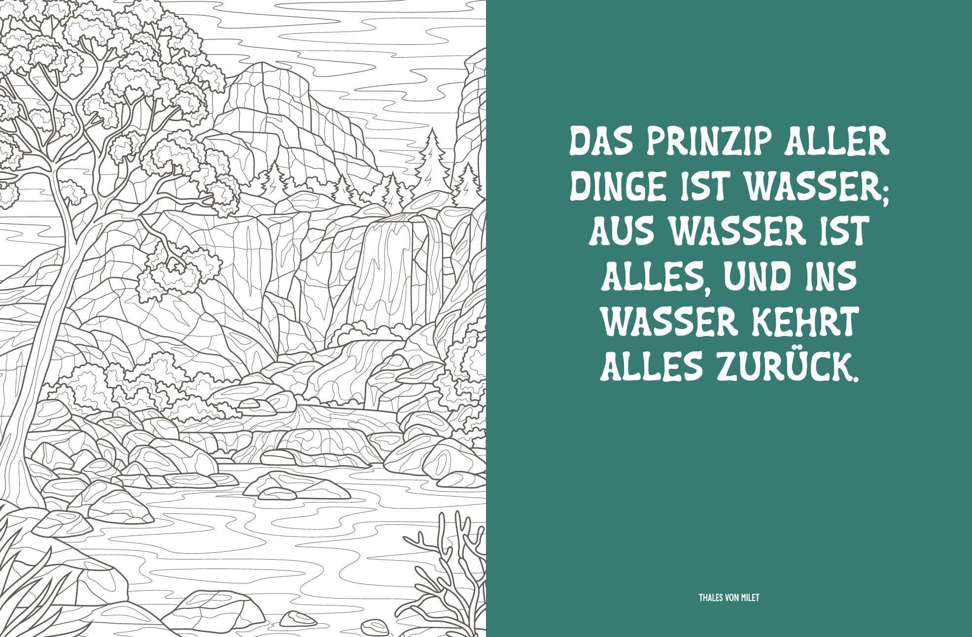 Beispielinhalt (Bild) Colorful Mandala - Tropenzauber