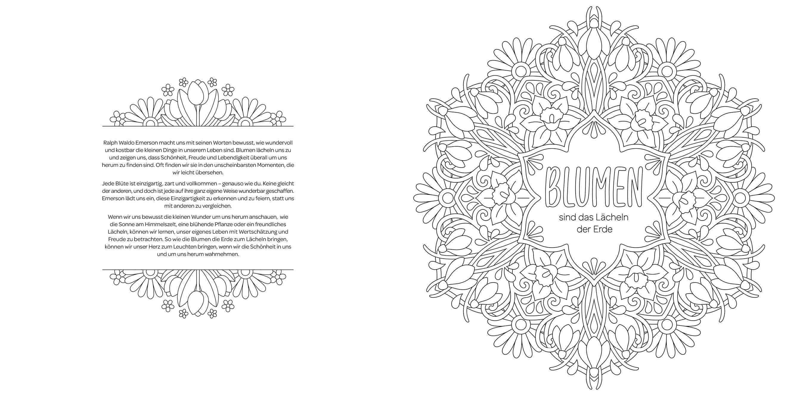 Beispielinhalt (Bild) Mandala-Weisheiten