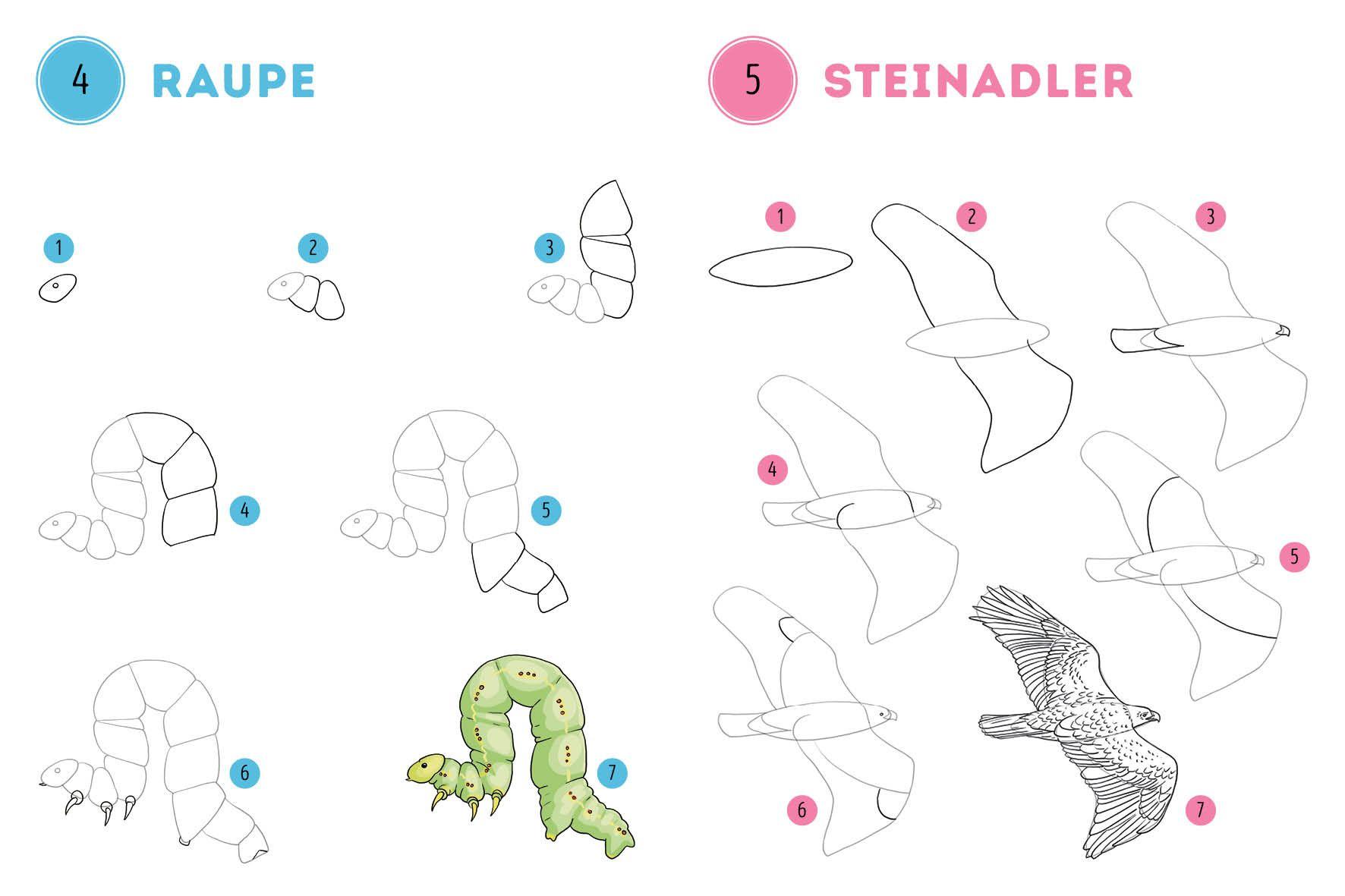 Beispielinhalt (Bild) 300 Motive zeichnen - Tiere