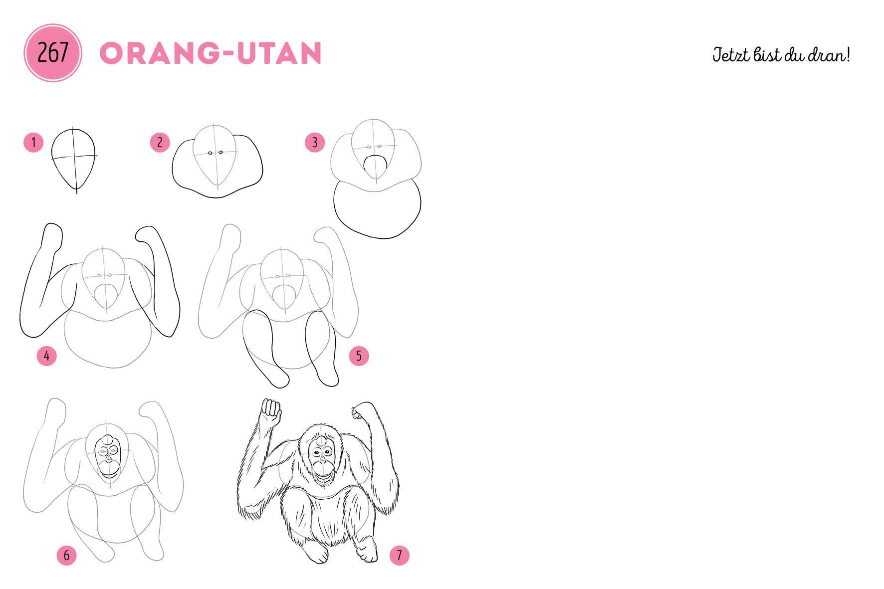 Beispielinhalt (Bild) 300 Motive zeichnen - Tiere