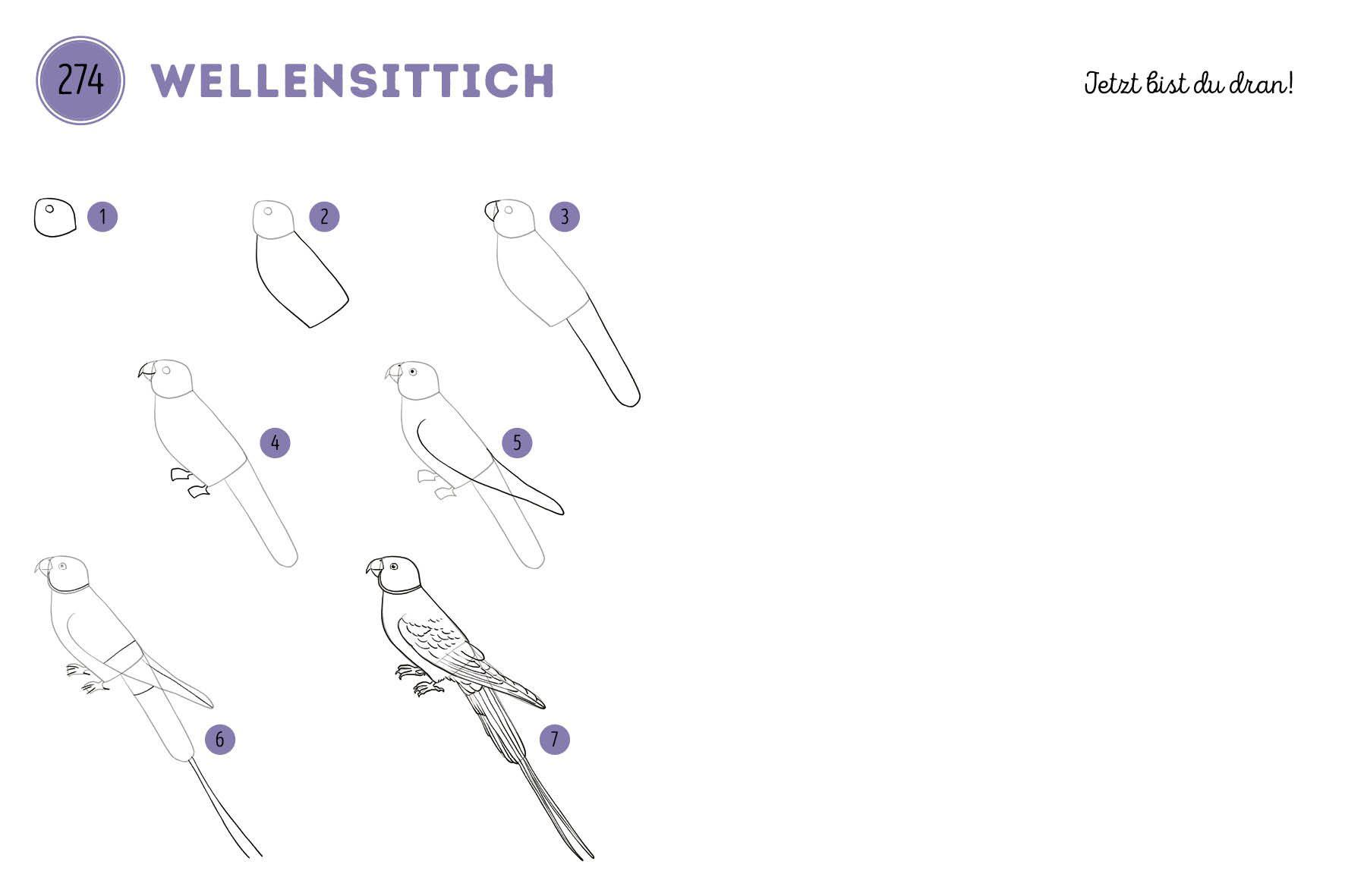 Beispielinhalt (Bild) 300 Motive zeichnen - Tiere