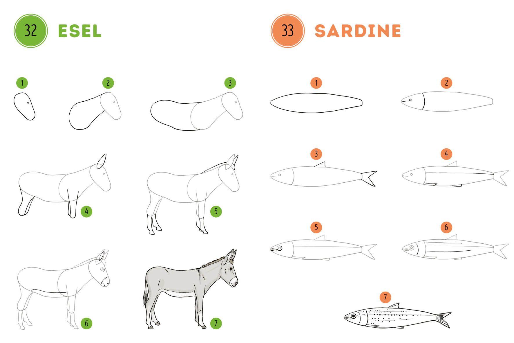 Beispielinhalt (Bild) 300 Motive zeichnen - Tiere