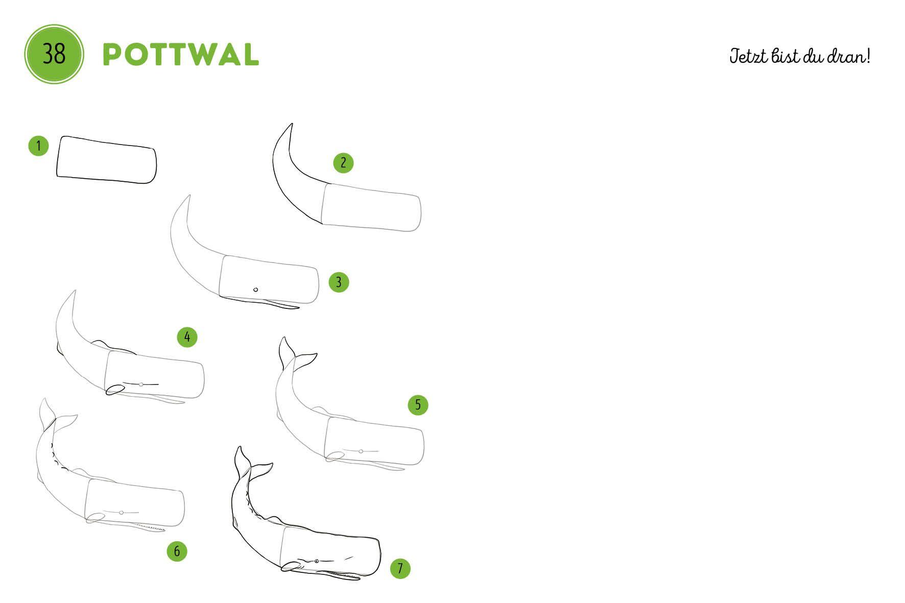 Beispielinhalt (Bild) 300 Motive zeichnen - Tiere