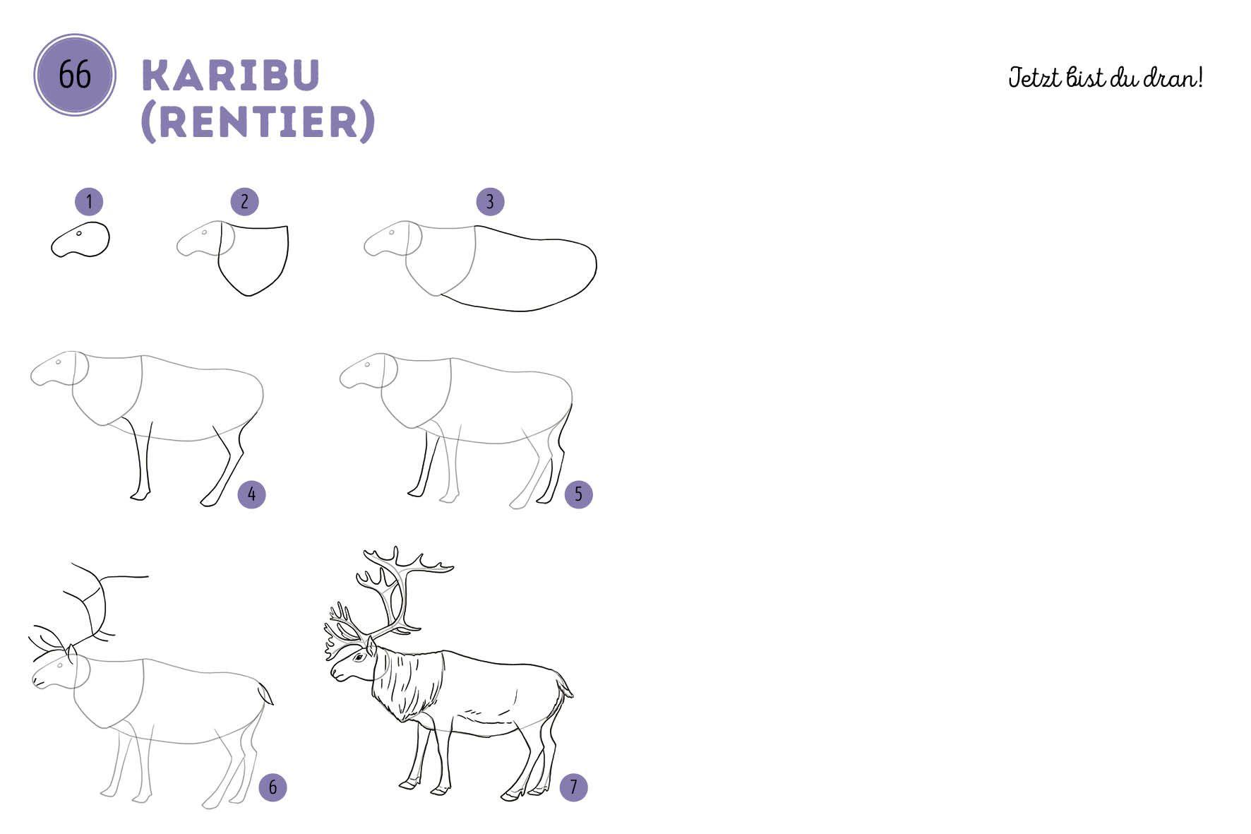 Beispielinhalt (Bild) 300 Motive zeichnen - Tiere