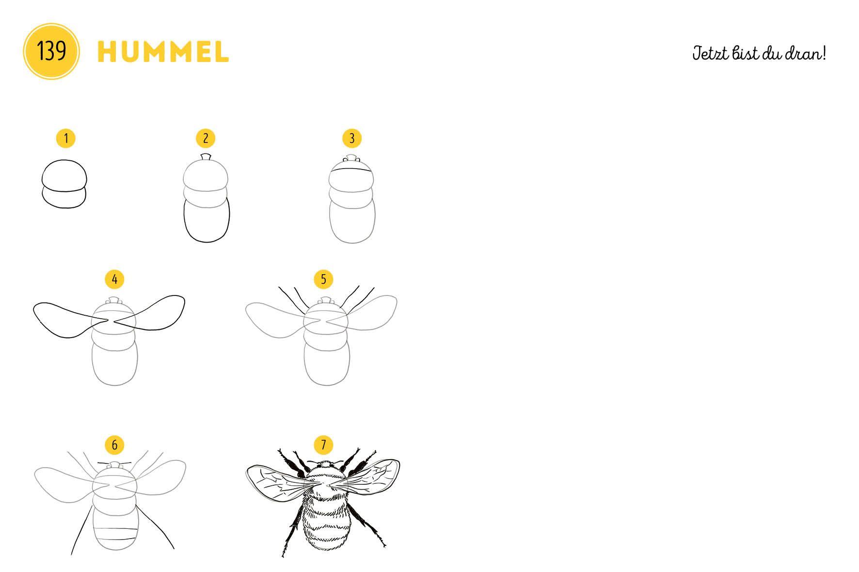 Beispielinhalt (Bild) 300 Motive zeichnen - Tiere