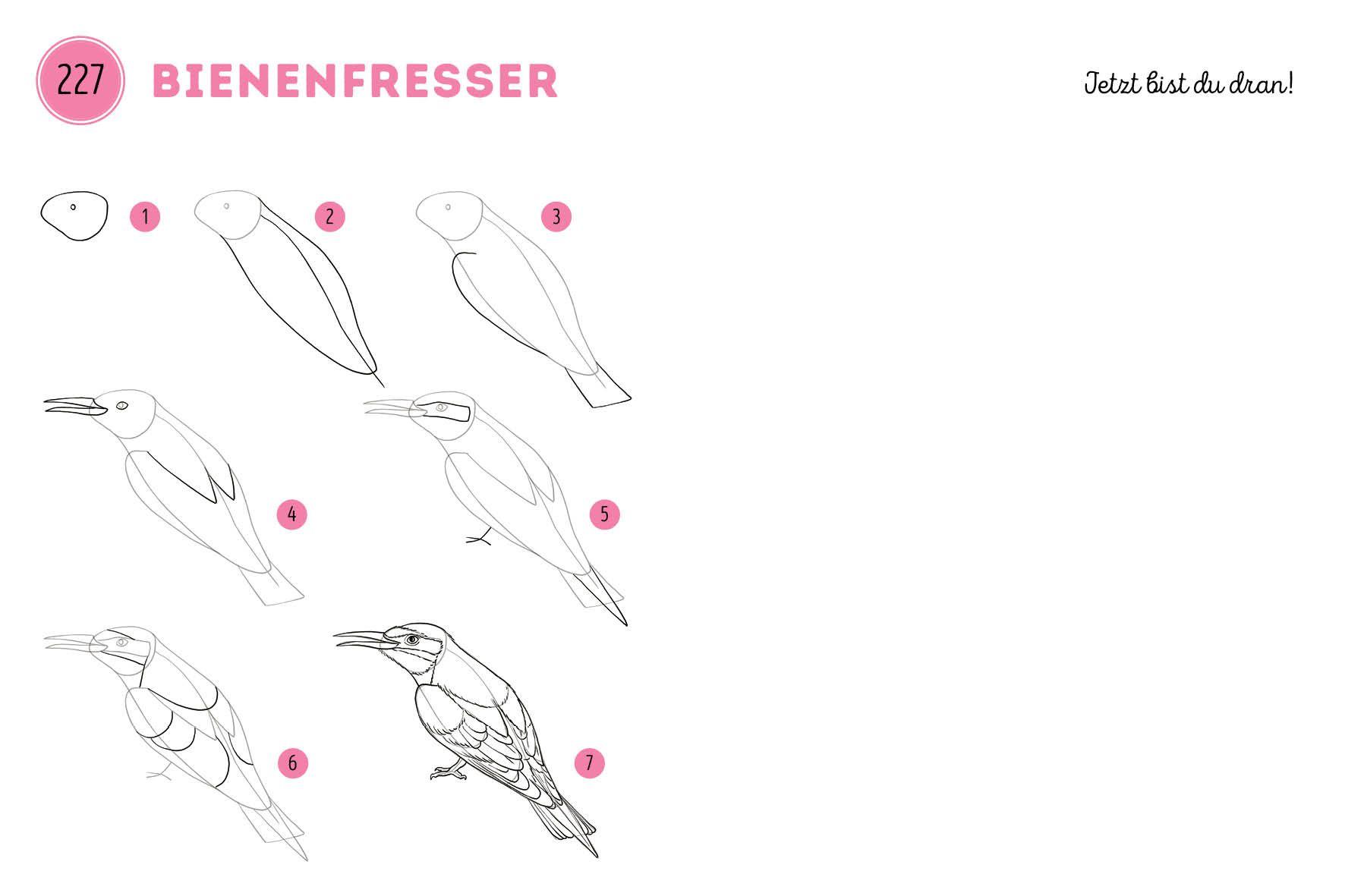 Beispielinhalt (Bild) 300 Motive zeichnen - Tiere