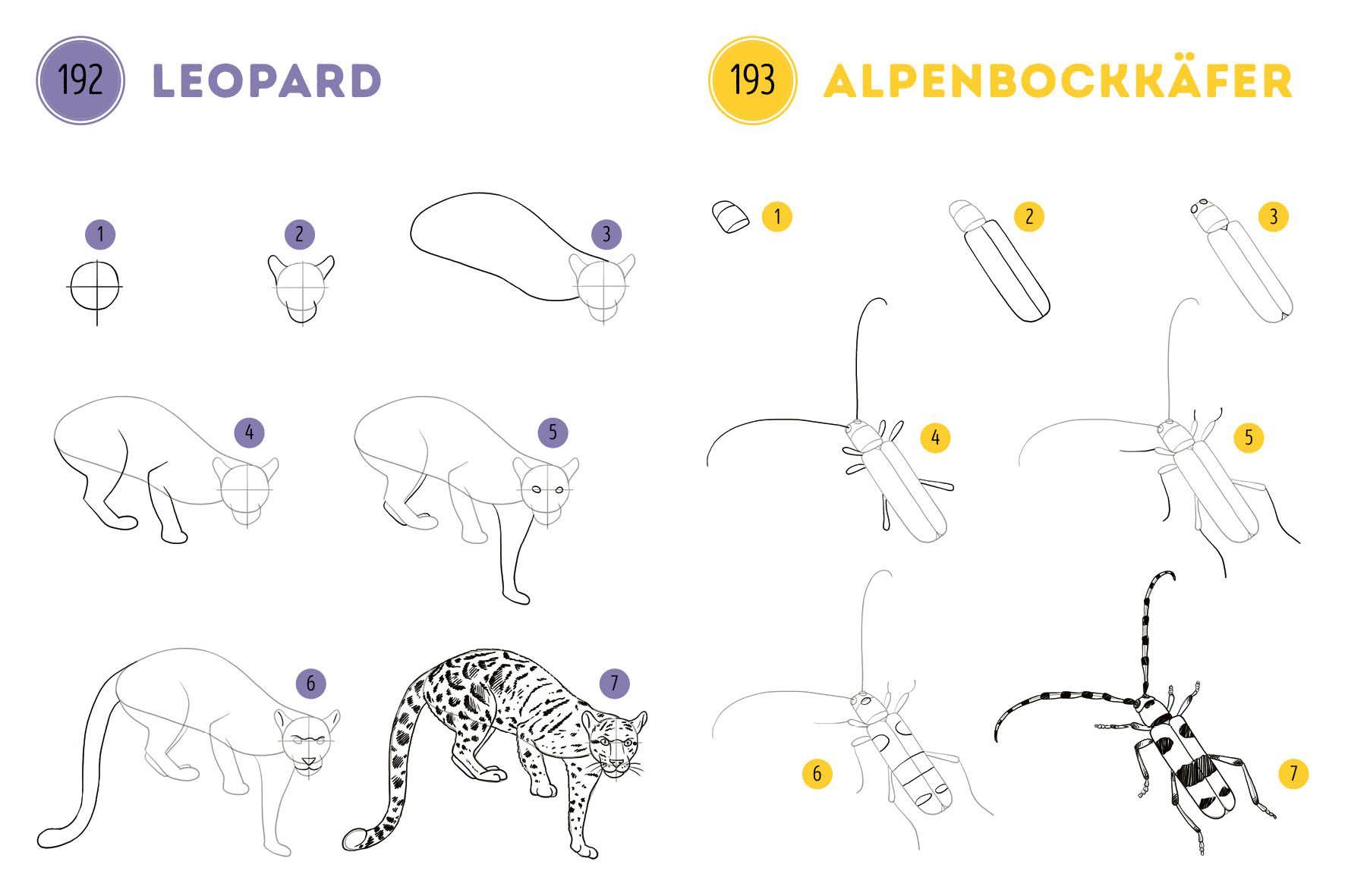 Beispielinhalt (Bild) 300 Motive zeichnen - Tiere
